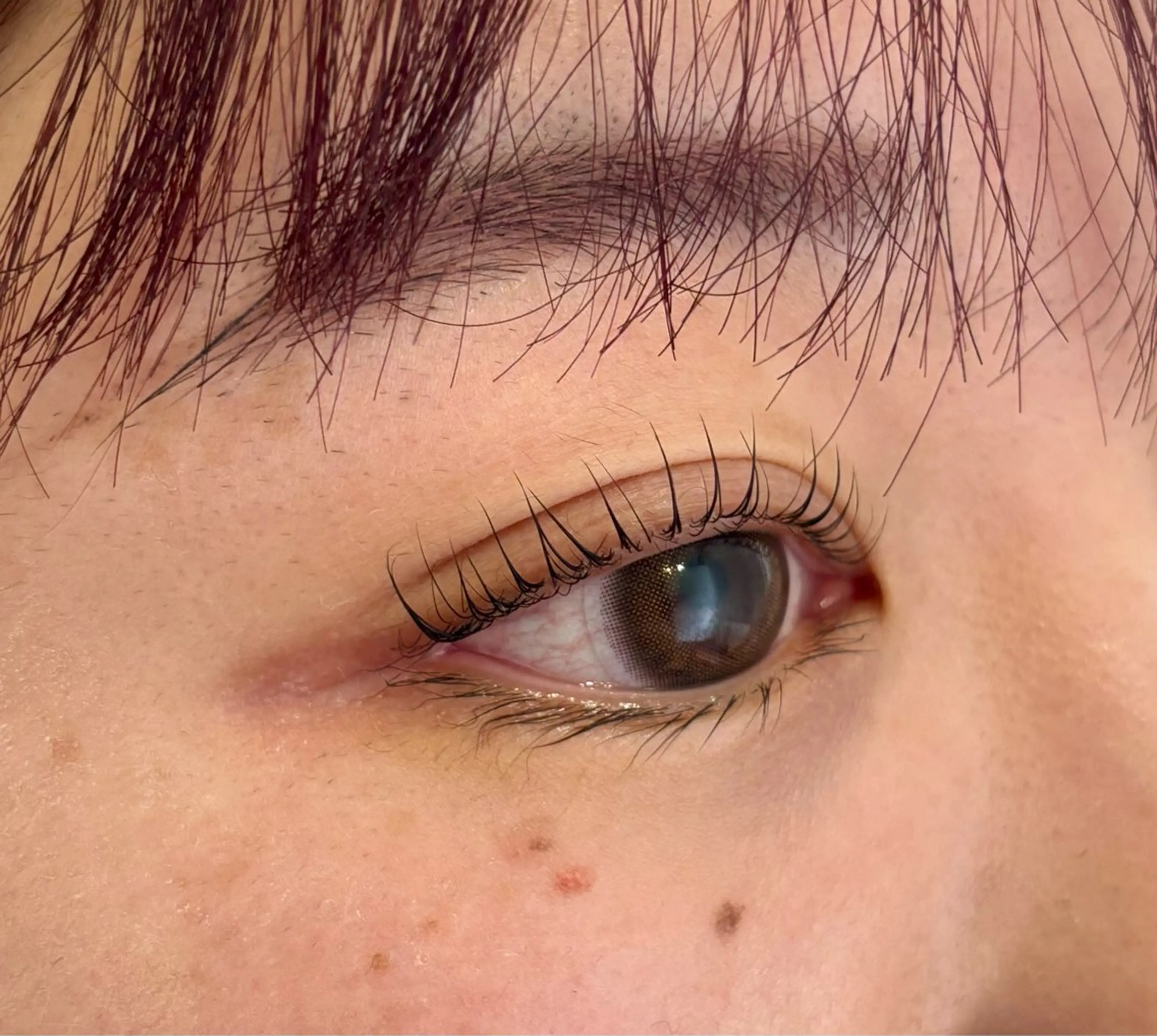 マツエク・マツパ マツパ 暖色カラー❤️横浜 エクステらん🦖のヘアスタイル