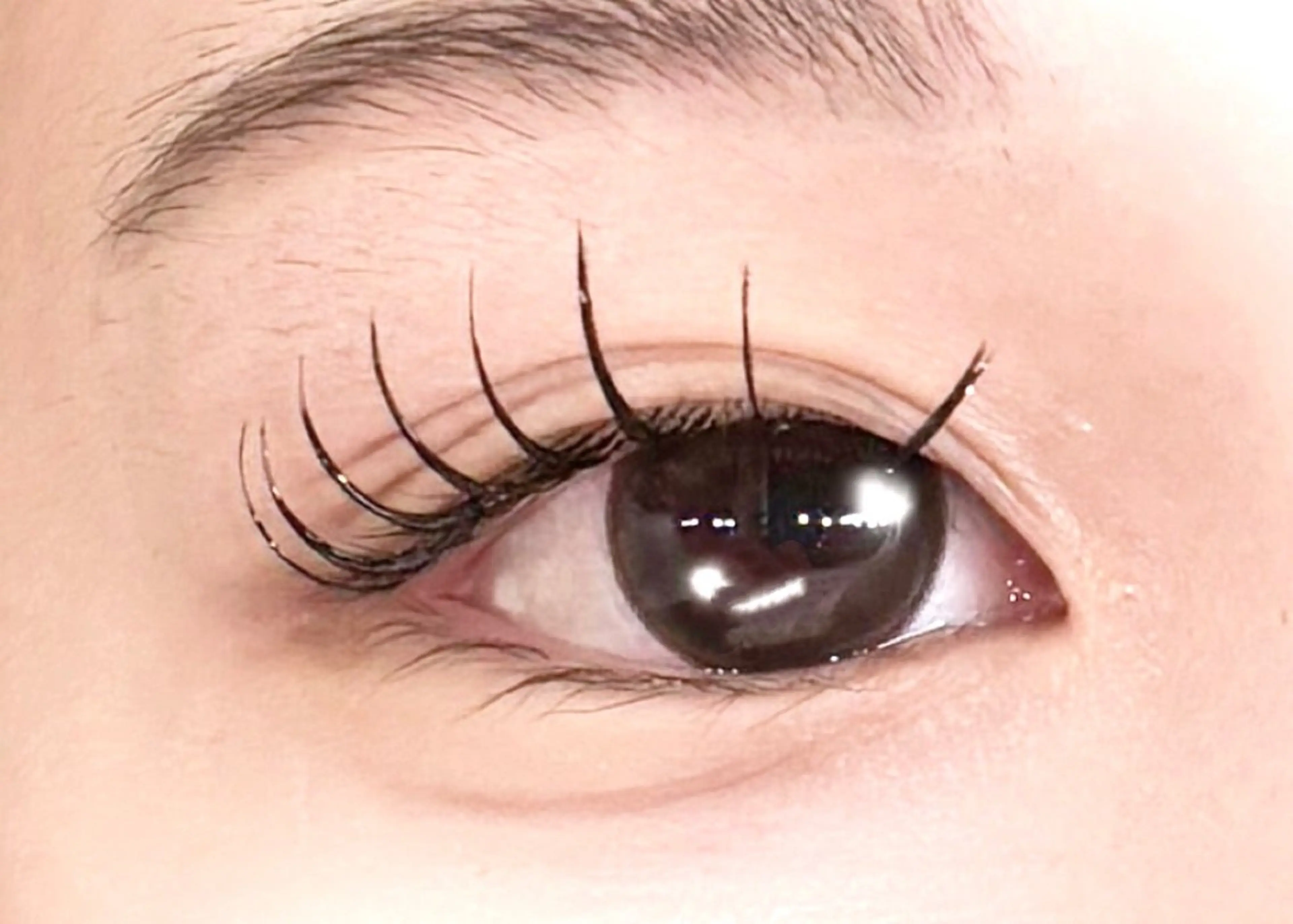 マツエク・マツパ Lucia 森田のマツエク・マツパデザイン