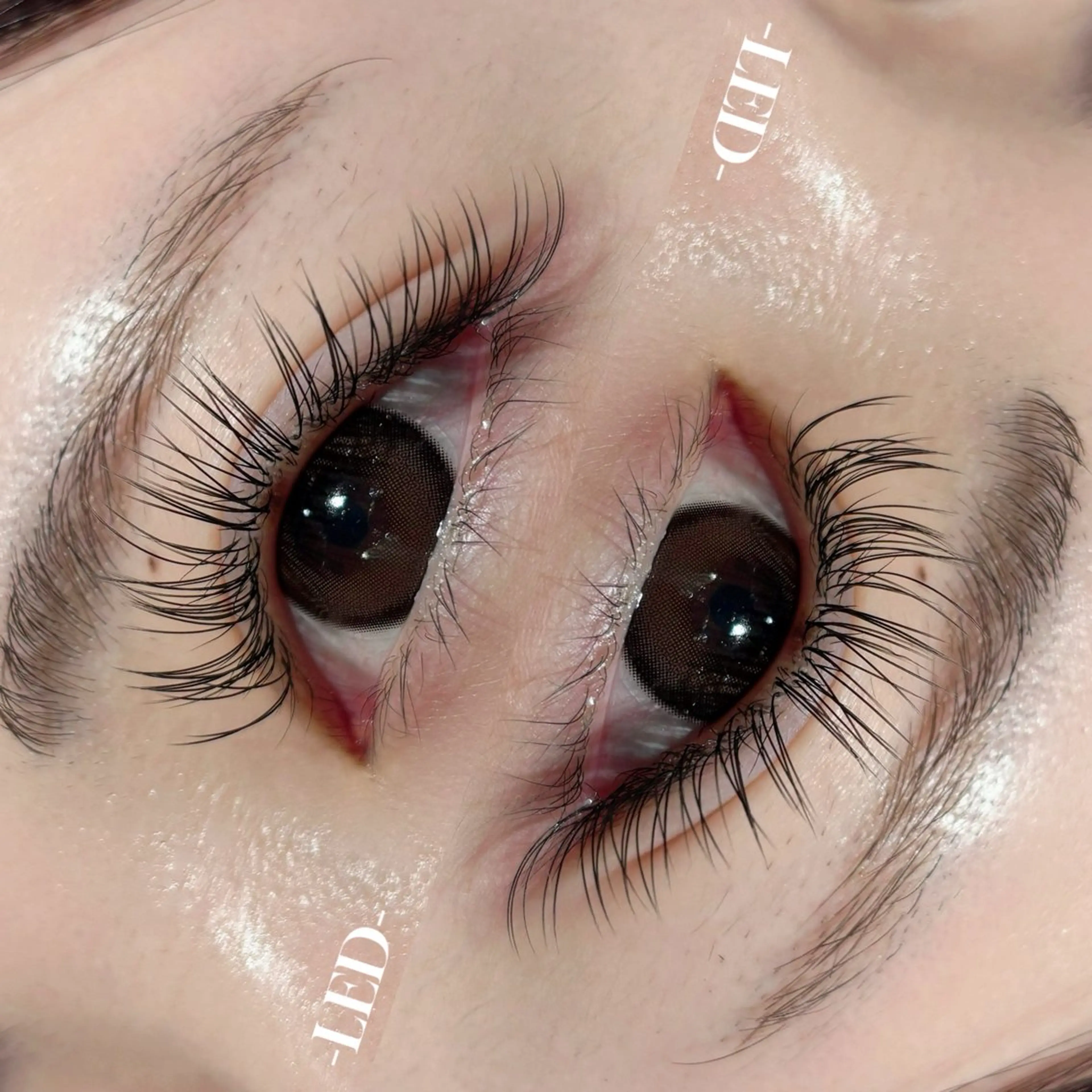 マツエク・マツパ FOXY LASH tadaのマツエク・マツパデザイン