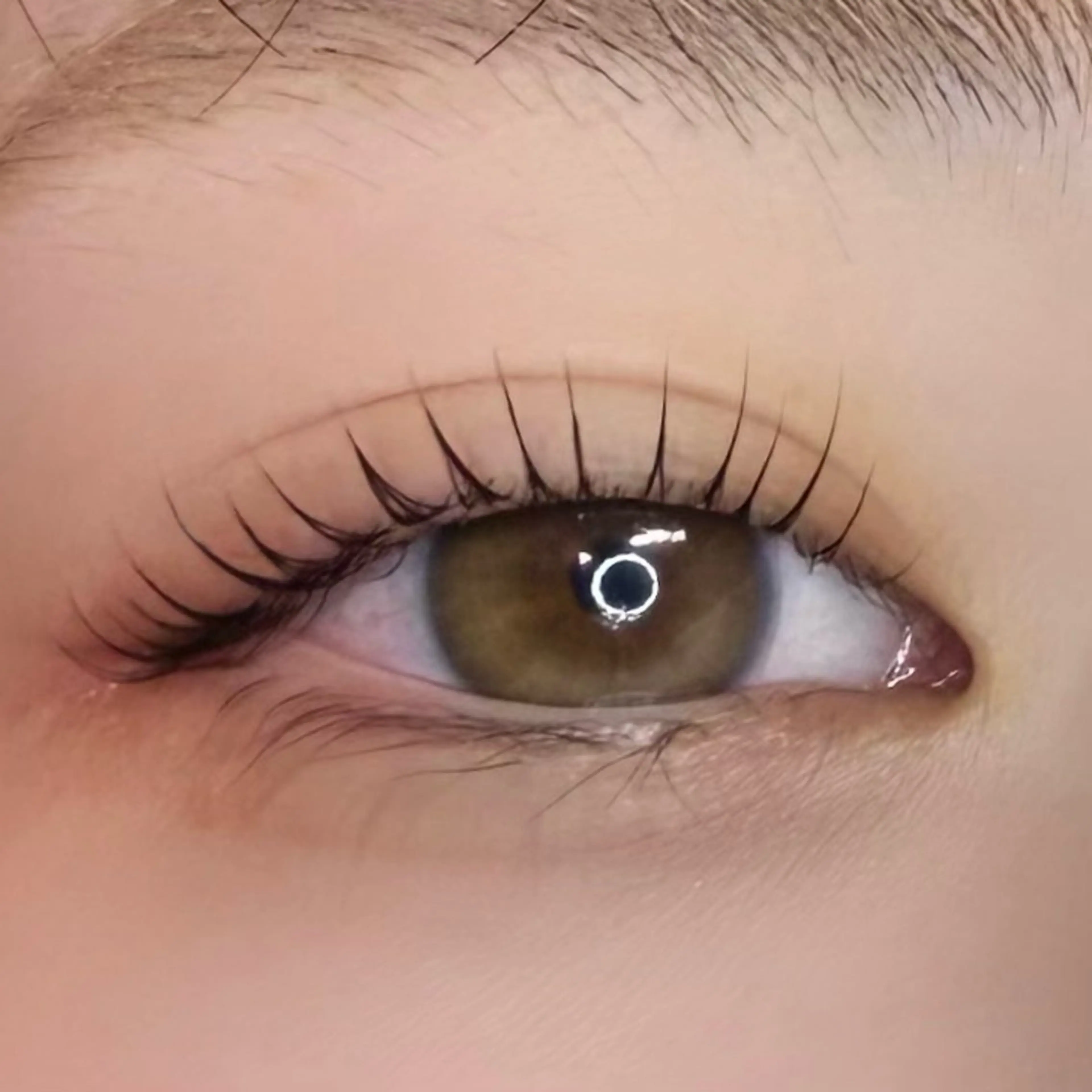 【🌸14日限定🌸】まつぱorパリジェンヌ+300円＋コーティングの写真