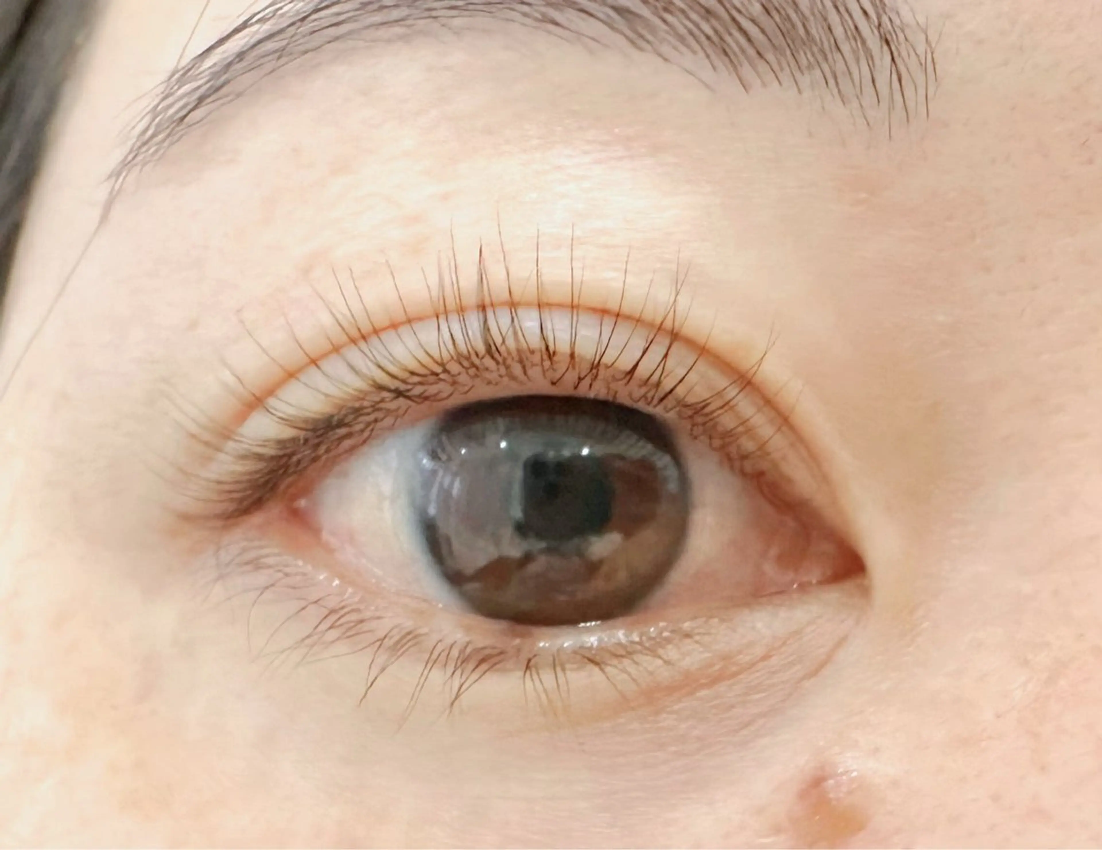 マツエク・マツパ まつげパーマ Grace タケムラのマツエク・マツパデザイン