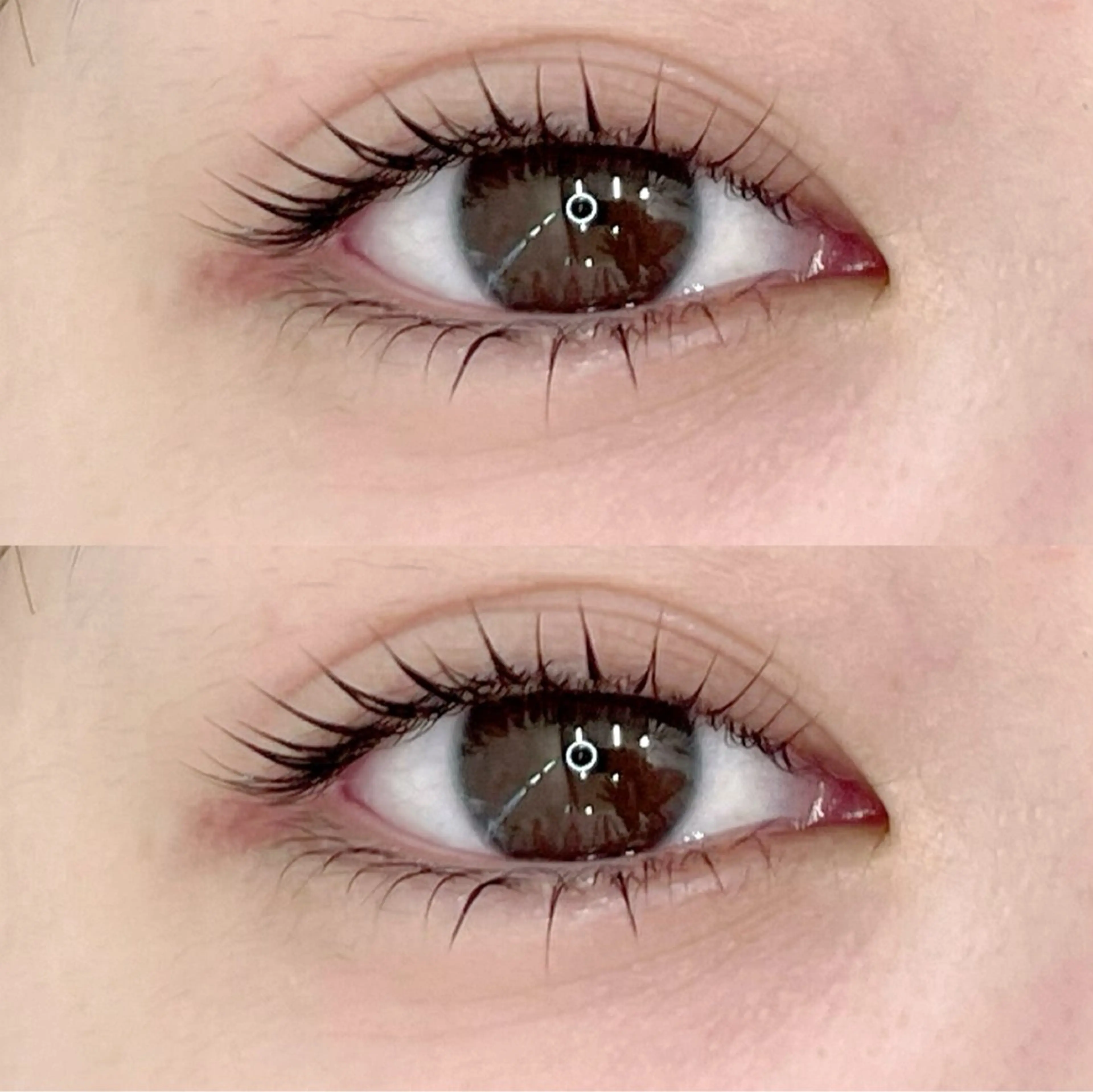 【再来 アイシャンプー＆トリートメント付】ラッシュリフトまつ毛パーマ🌟の写真