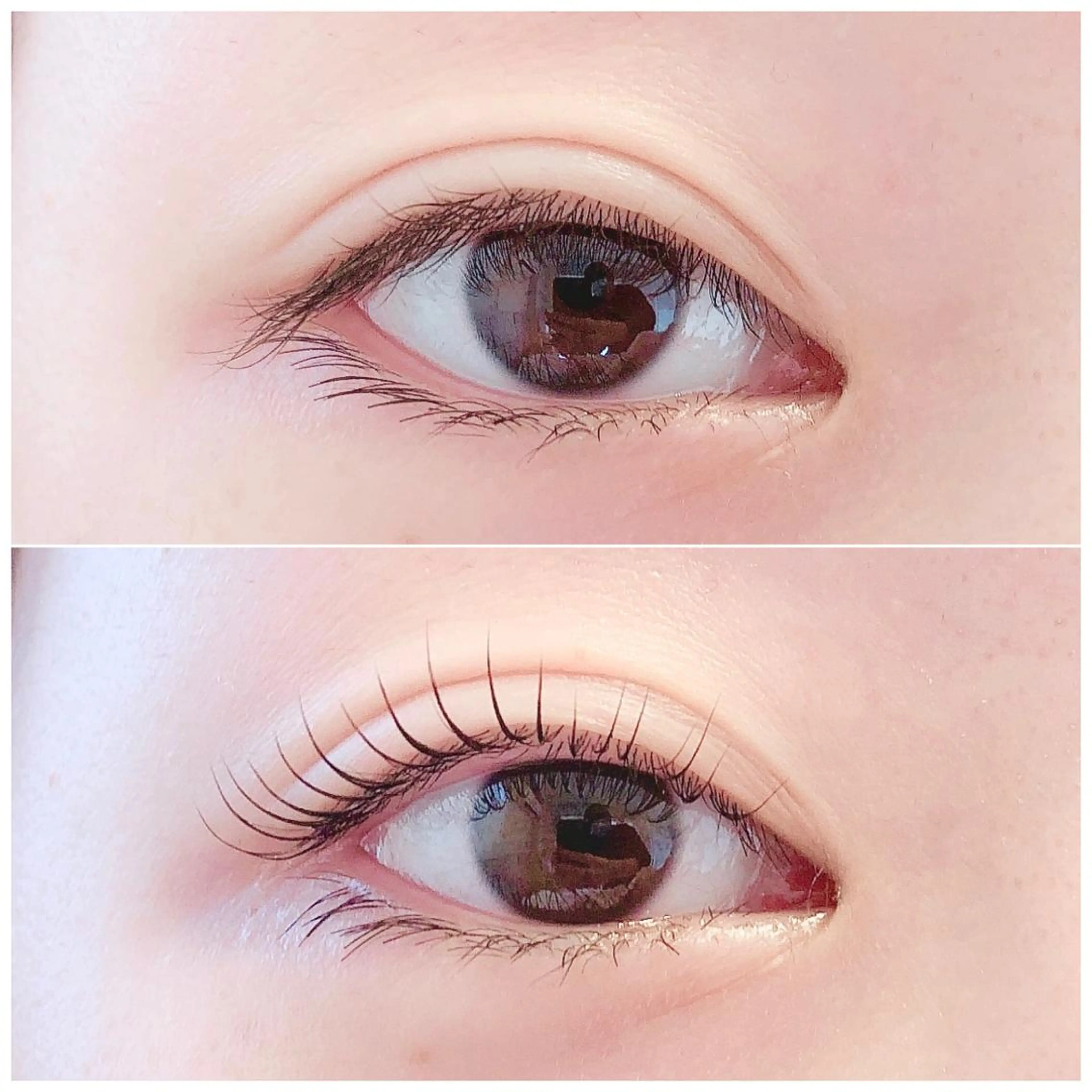 マツエク・マツパ Aubel.nord 《オーベルノール》のマツエク・マツパデザイン