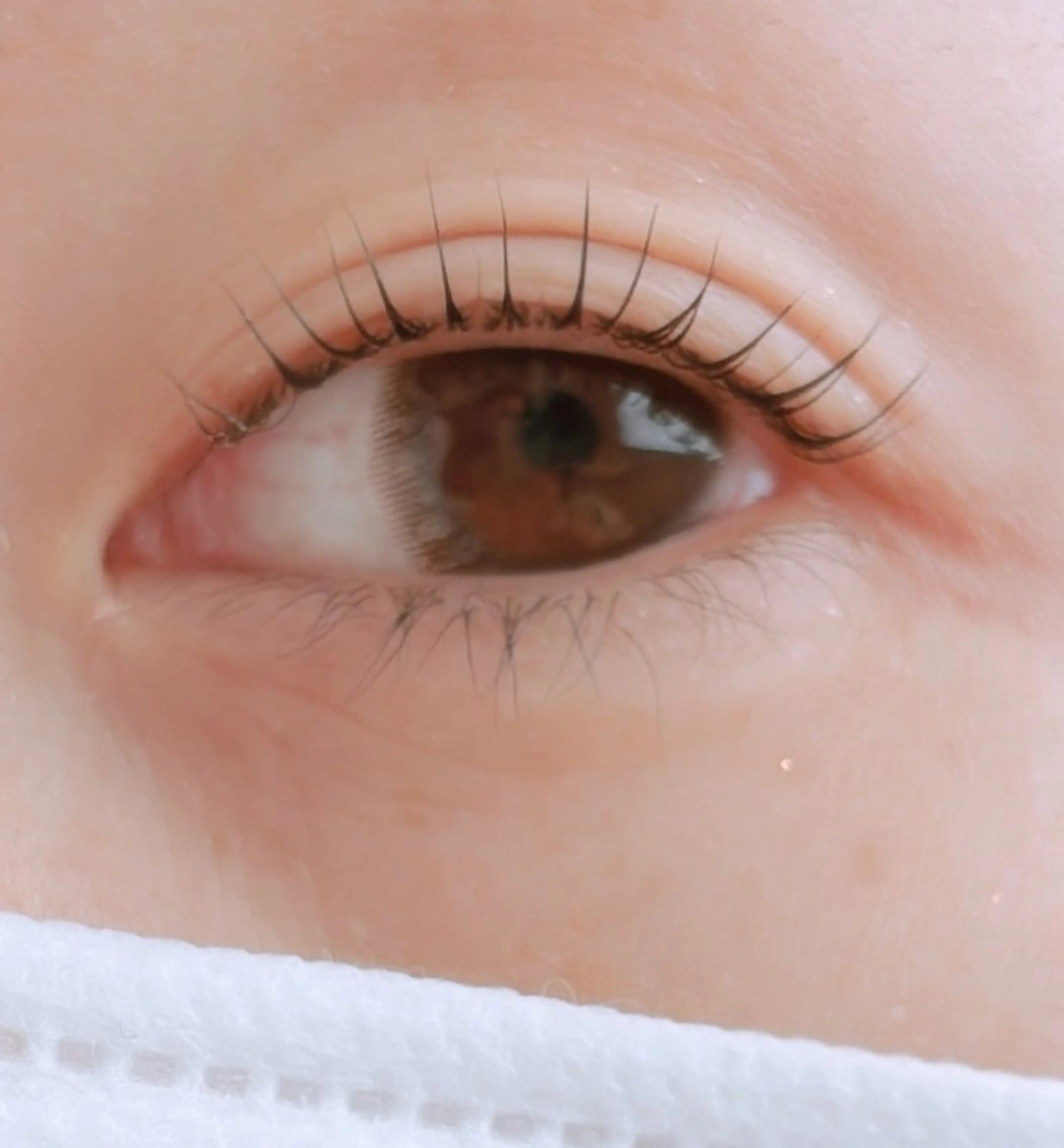 マツエク・マツパ 江川 伶実のマツエク・マツパデザイン