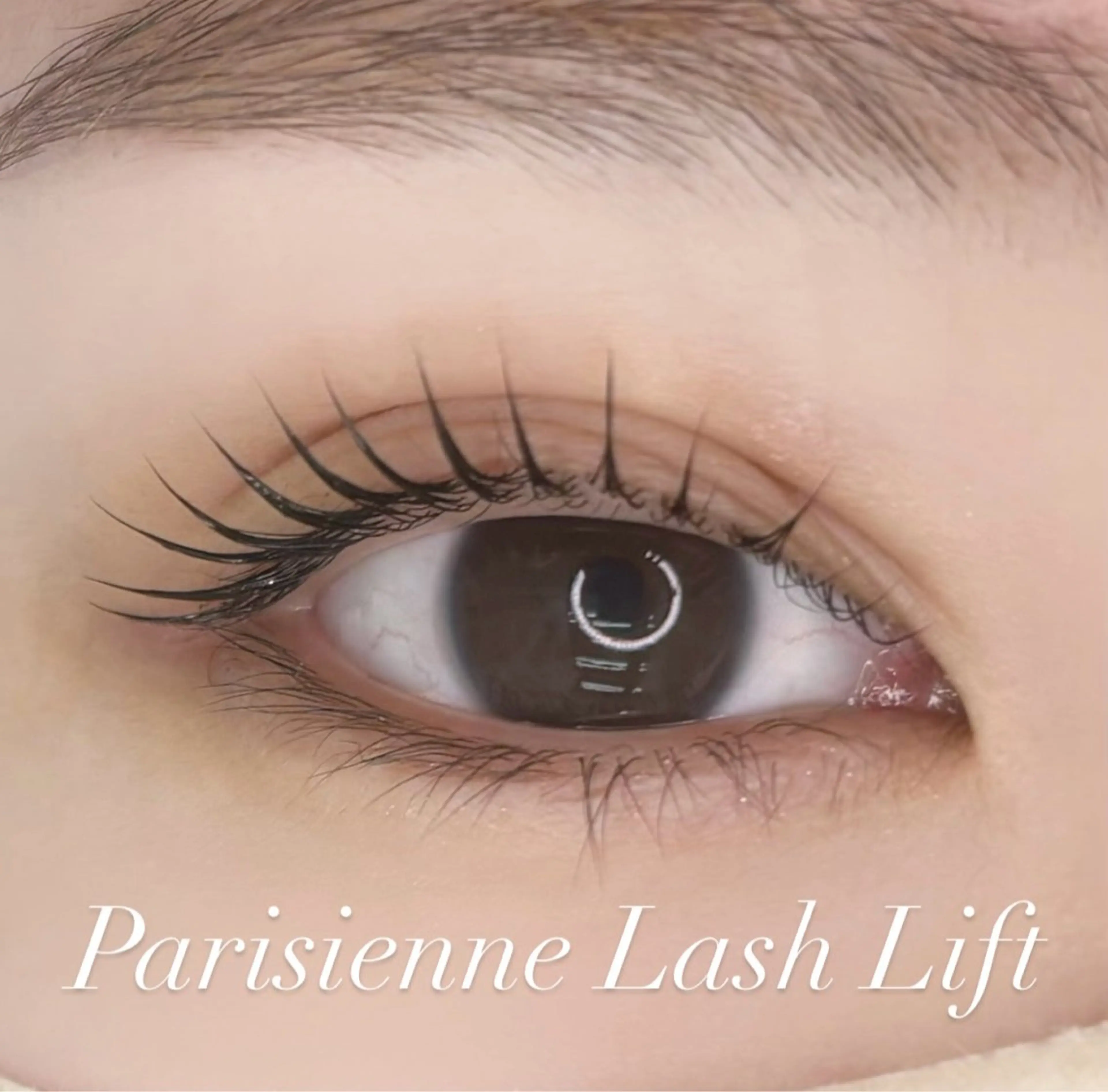 マツエク・マツパ パリジェンヌラッシュリフト IVY-NUE HITOMIのマツエク・マツパデザイン