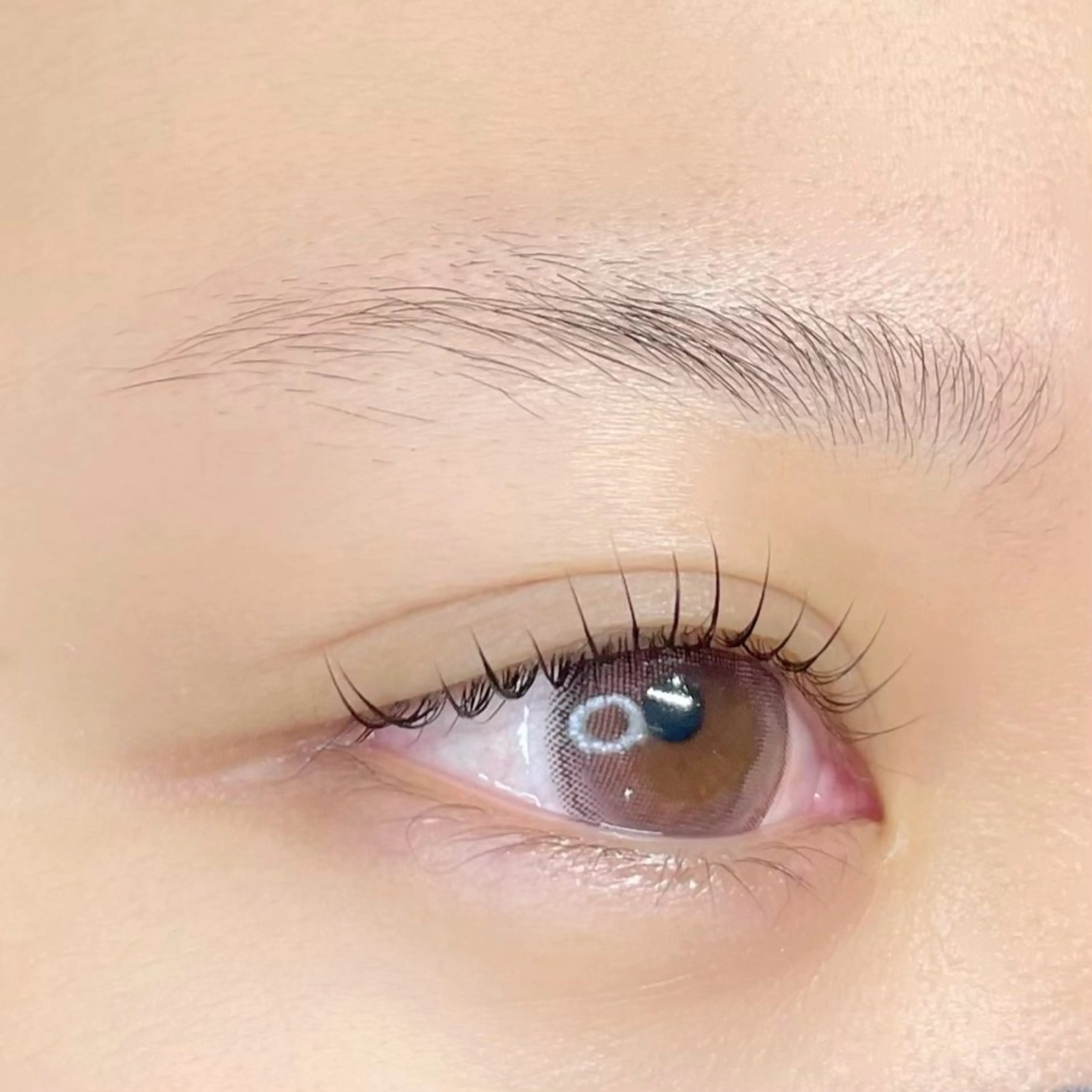 マツエク・マツパ マツパ tia ｜ meiのマツエク・マツパデザイン