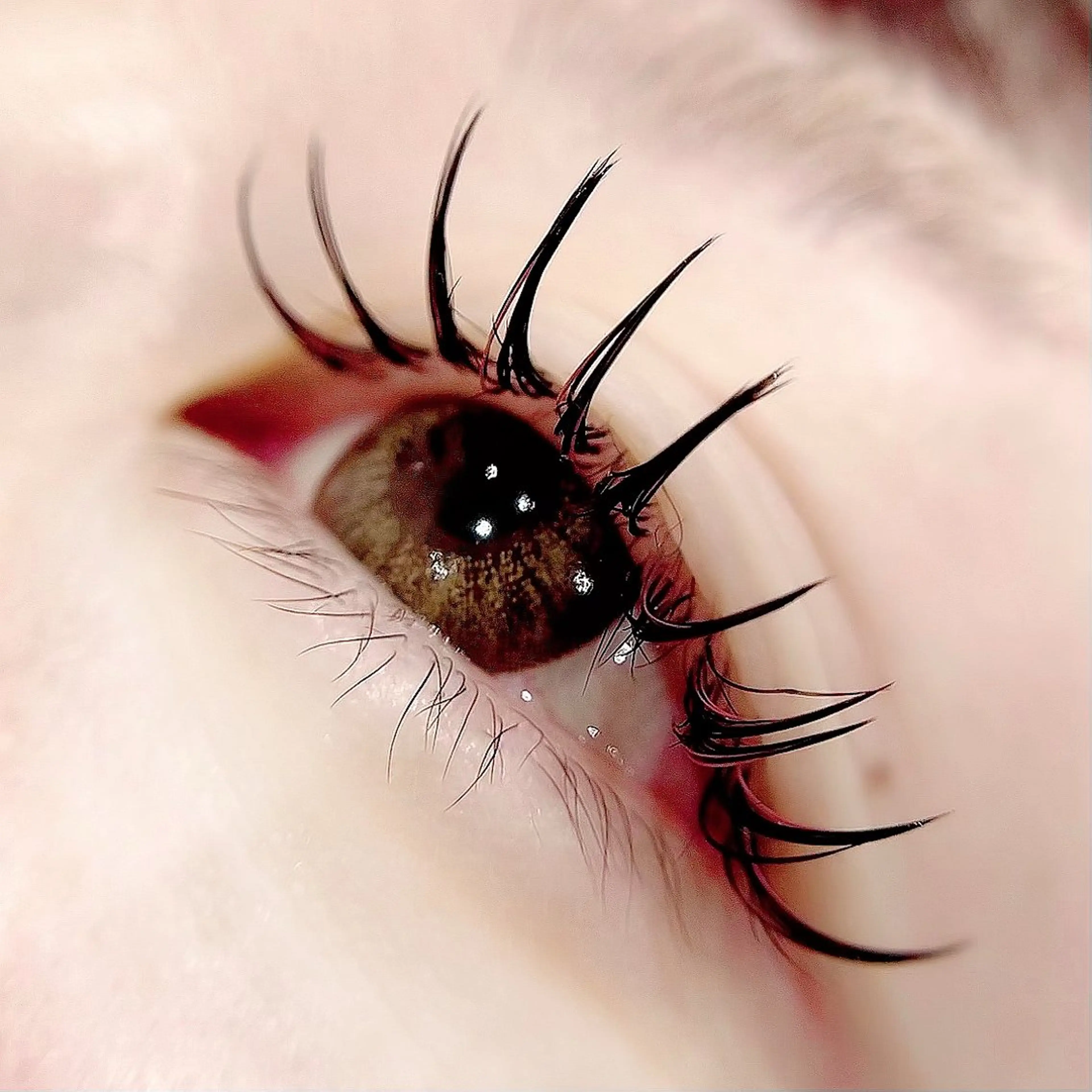 マツエク・マツパ 🪸似合わせ/お悩み 解決🪸しもだのマツエク・マツパデザイン