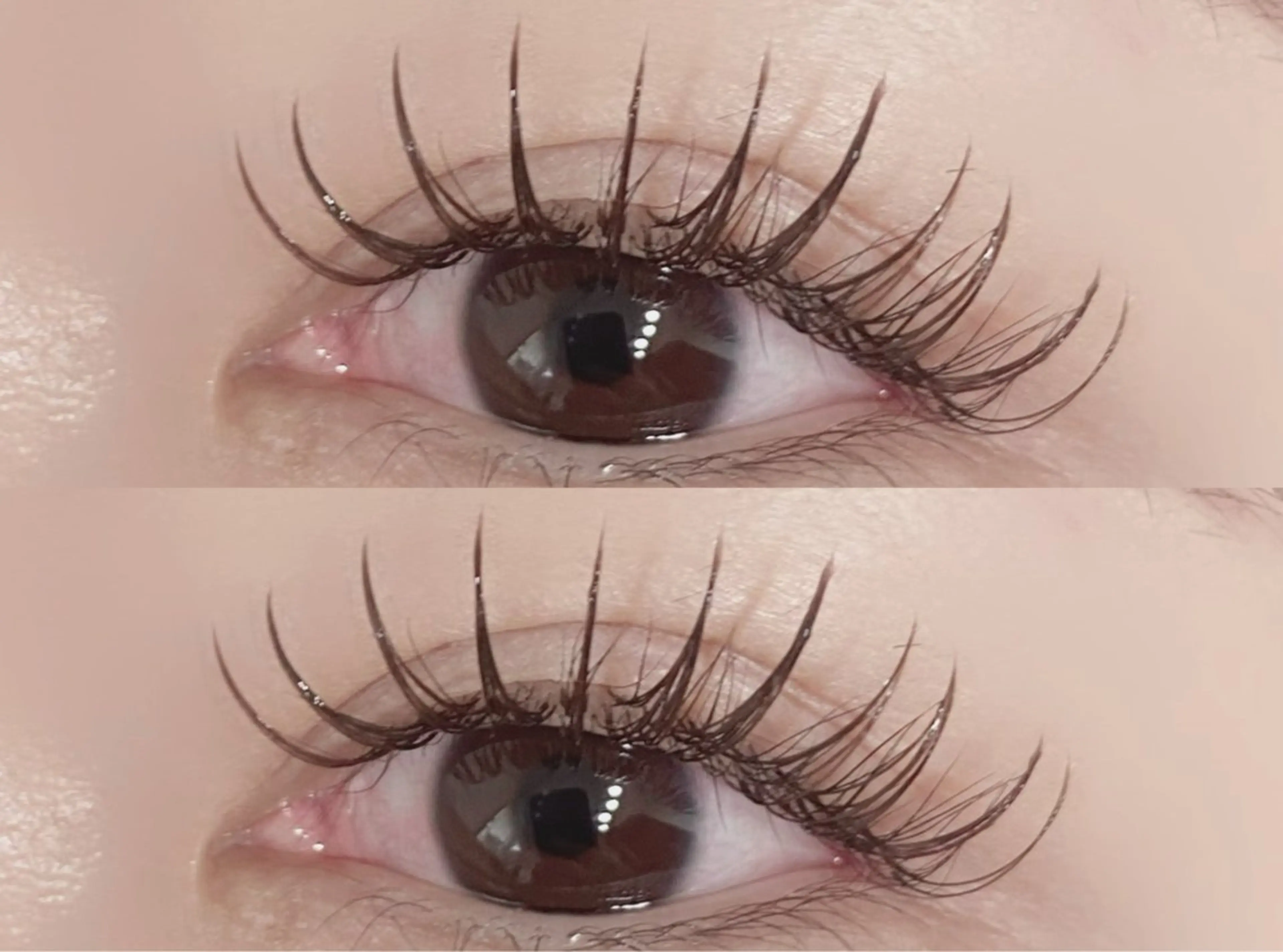 マツエク・マツパ カラーマツエク フラットラッシュ マツエク 💎マツエク/眉毛 パリジェンヌ渋谷💎の眉毛・アイブロウイメージ