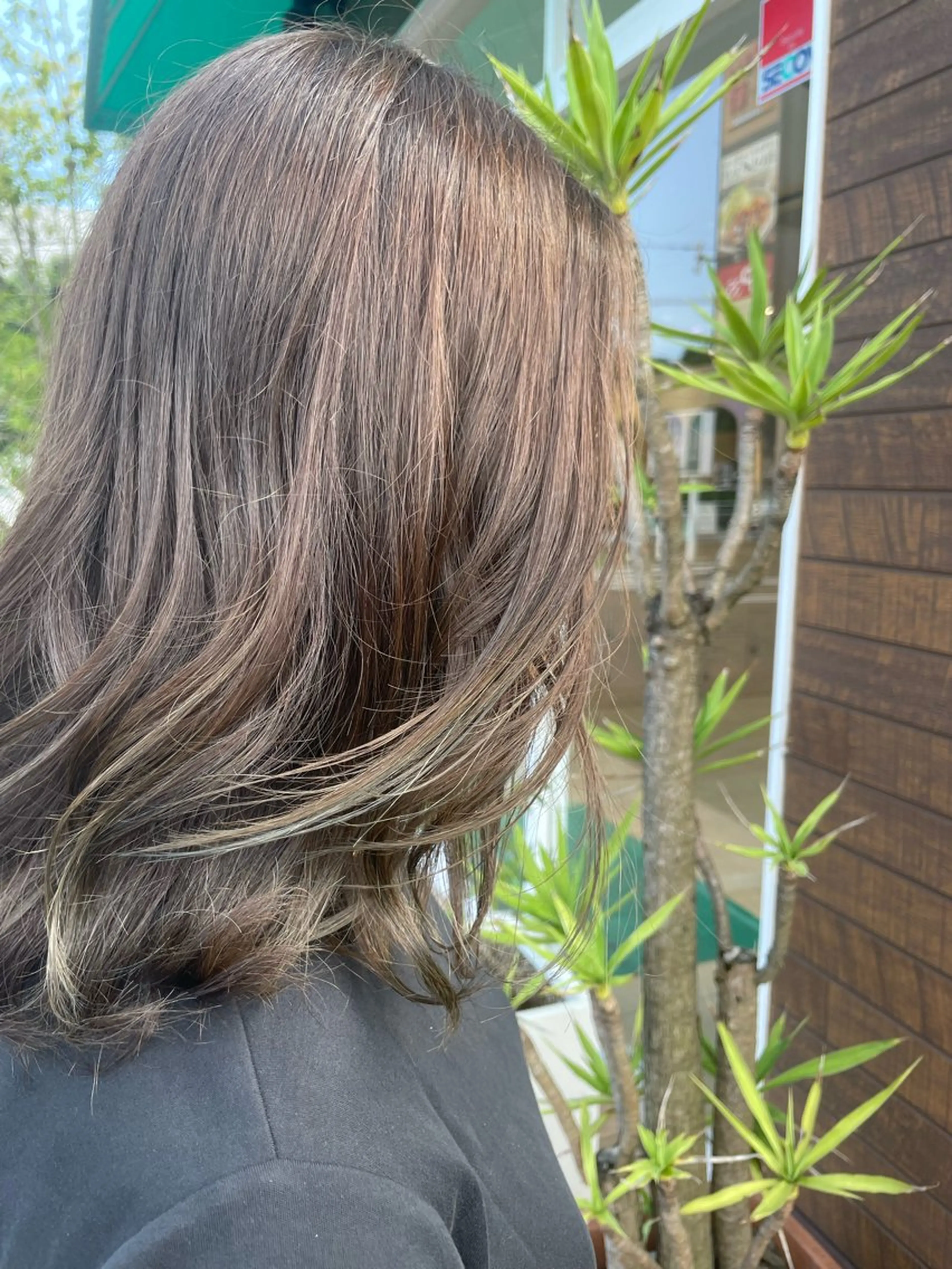 【ご新規様限定】- ̗̀大人気  ̖́-🦄アドミオカラー🦄の写真