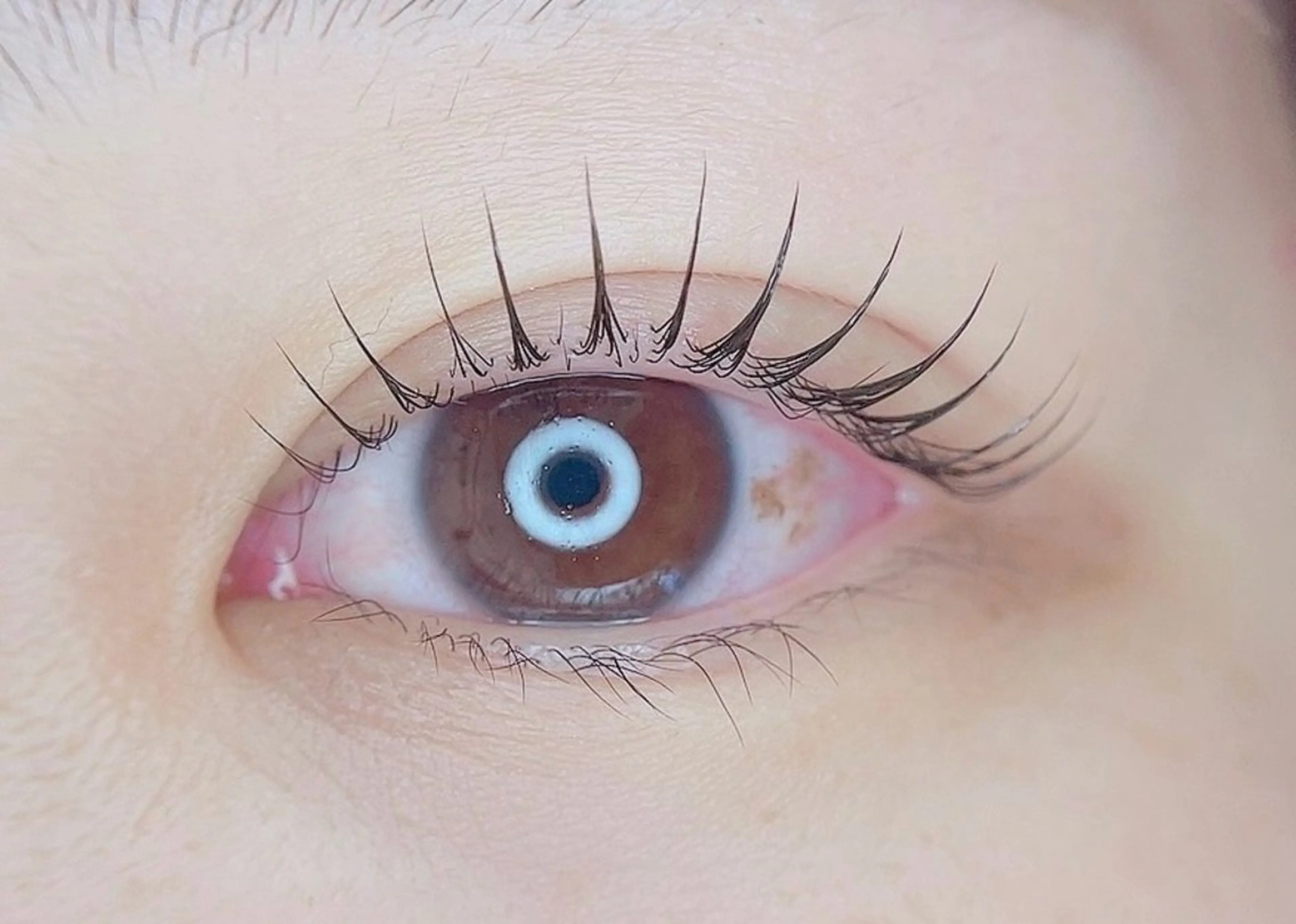 ラッシュリフト(まつ毛パーマ)の写真