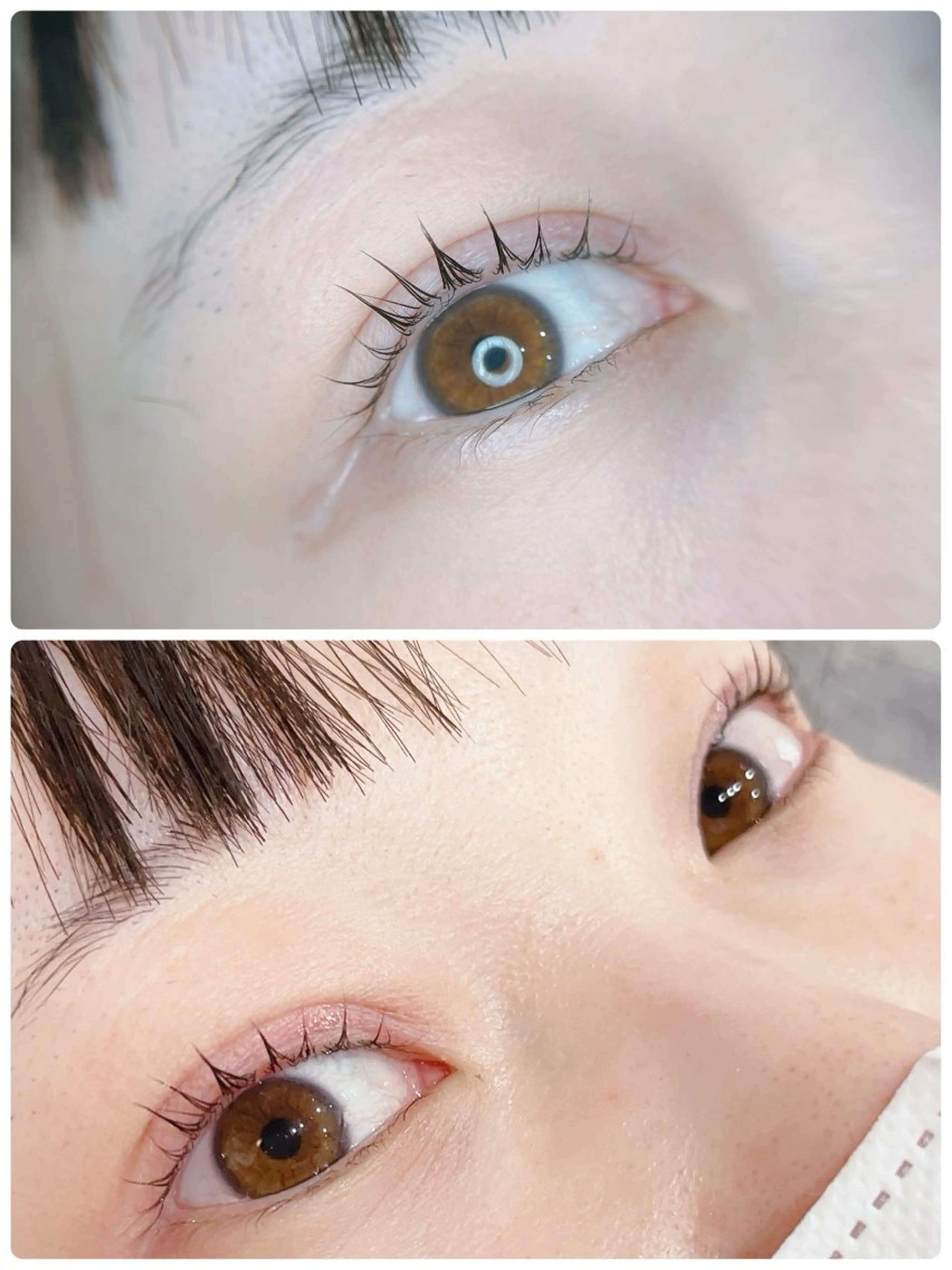 マツエク・マツパ パリジェンヌラッシュリフト Perl blueの眉毛・アイブロウイメージ