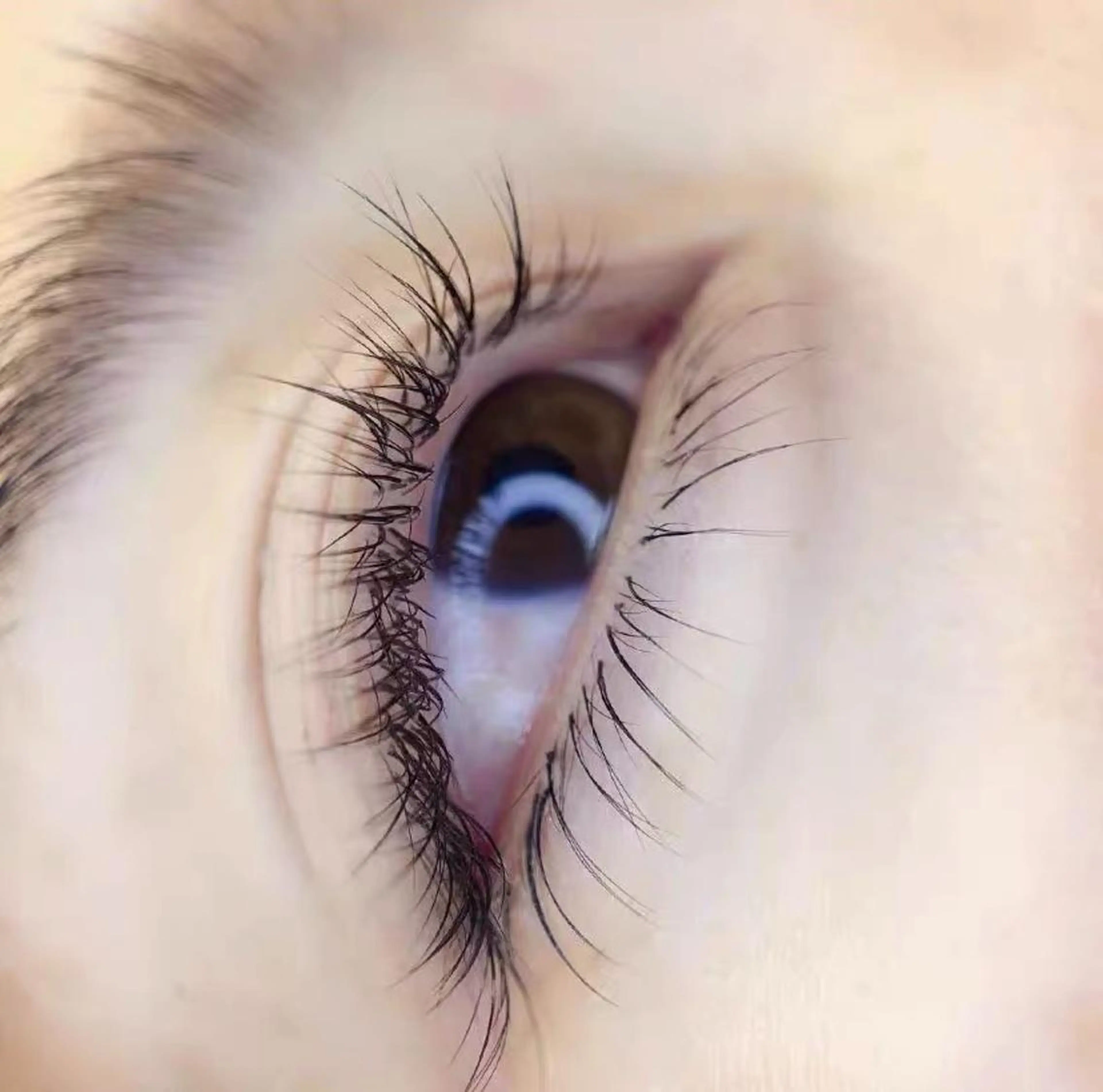 マツエク・マツパ Cute beauty2のマツエク・マツパデザイン