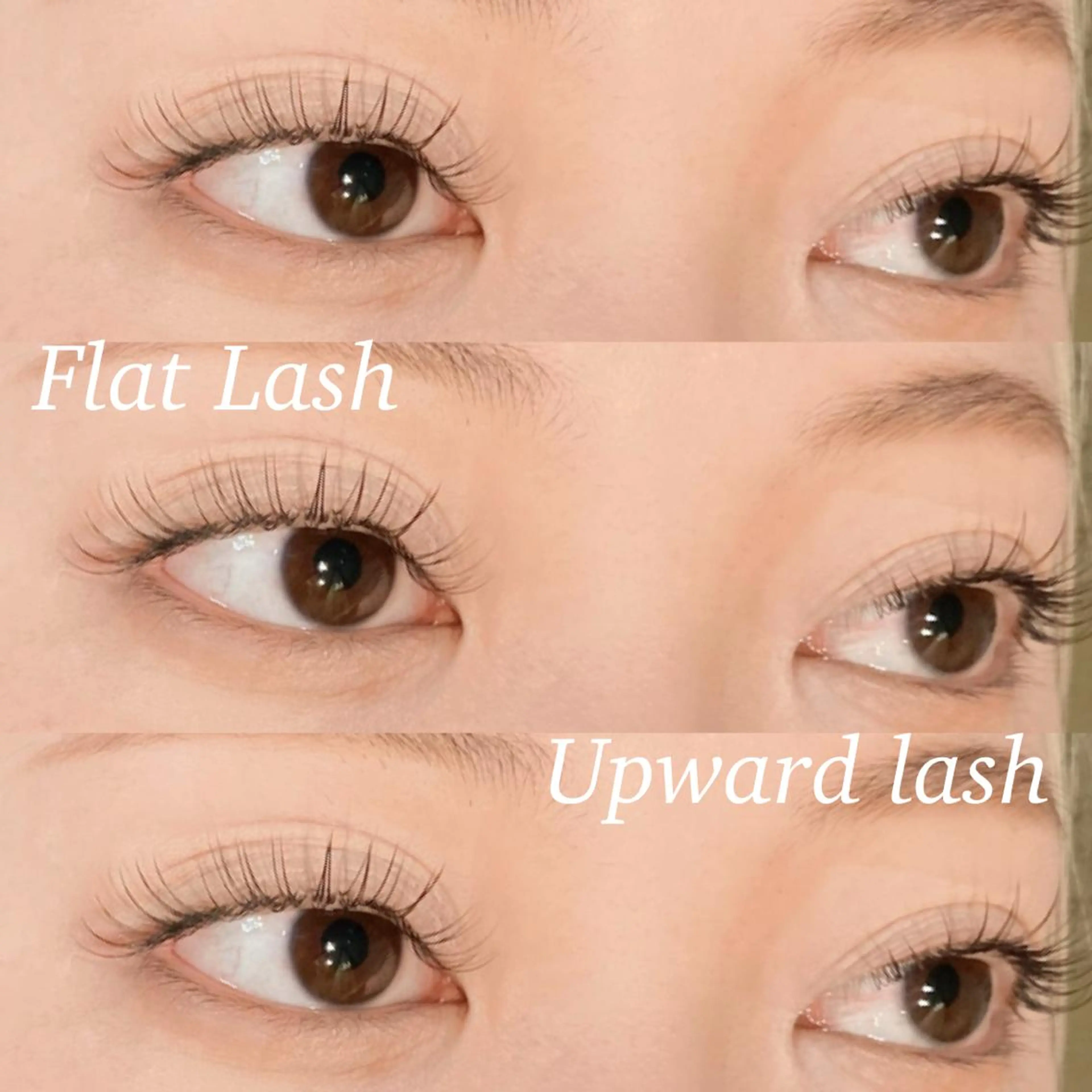 マツエク・マツパ LiTA  中央橋店 NIINOの眉毛・アイブロウイメージ