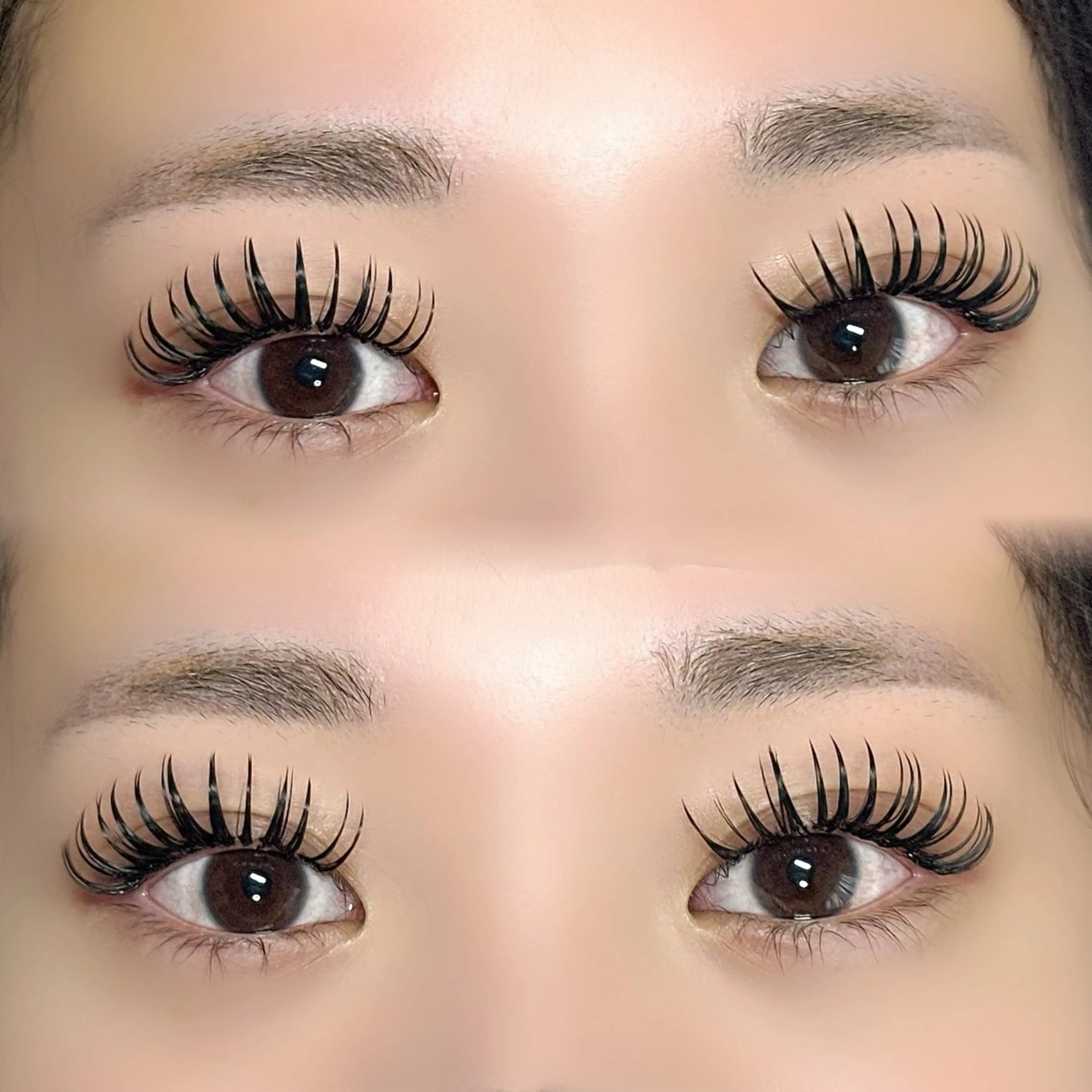 マツエク・マツパ マツエク ぷりゅねる心斎橋 /LED専門店のマツエク・マツパデザイン