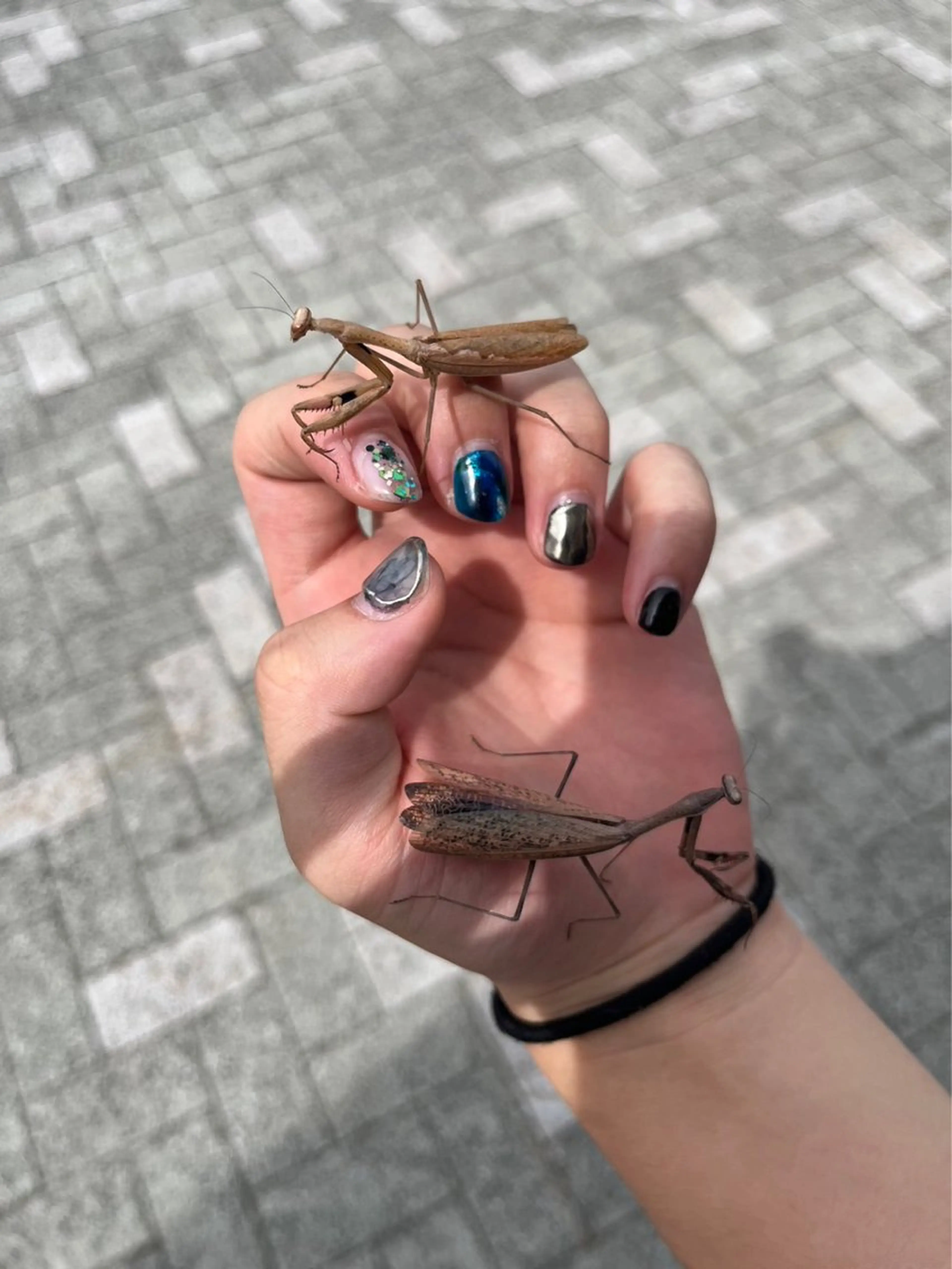 ネイル Earth☆*: taruのネイルデザイン