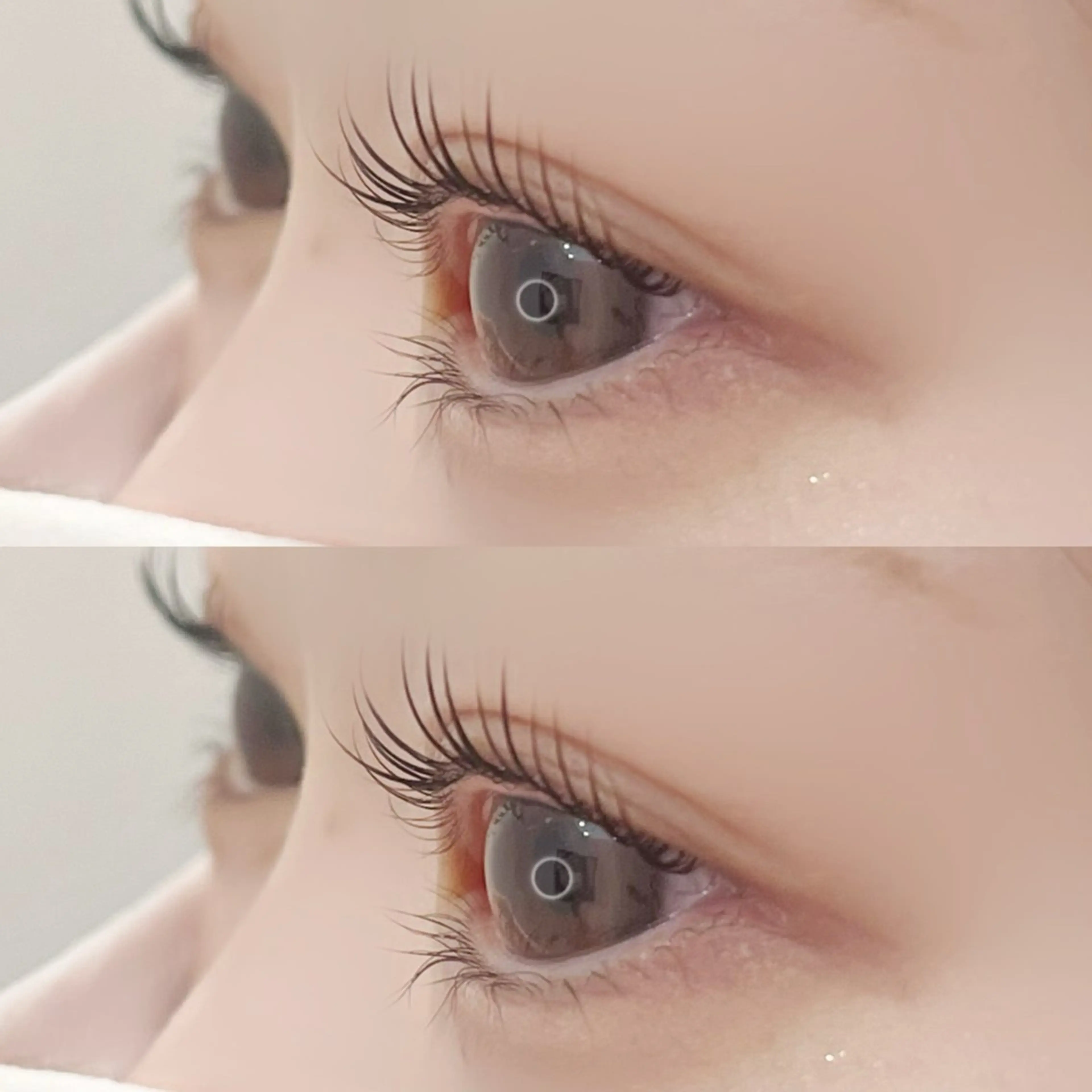 マツエク・マツパ まつげパーマ miyu¦マツエク¦ まつパ¦眉毛¦立川のマツエク・マツパデザイン