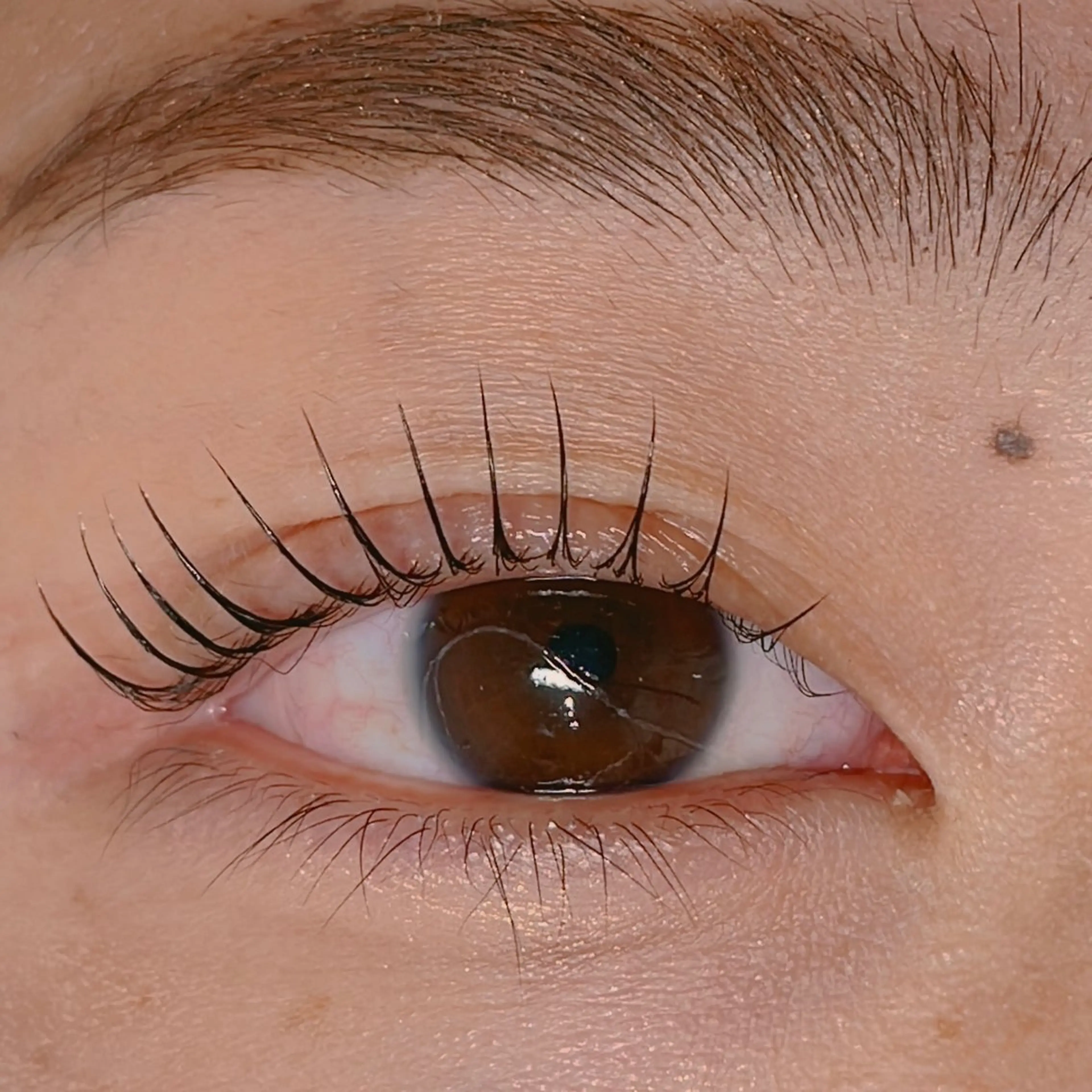 マツエク・マツパ Pearl miyuのマツエク・マツパデザイン