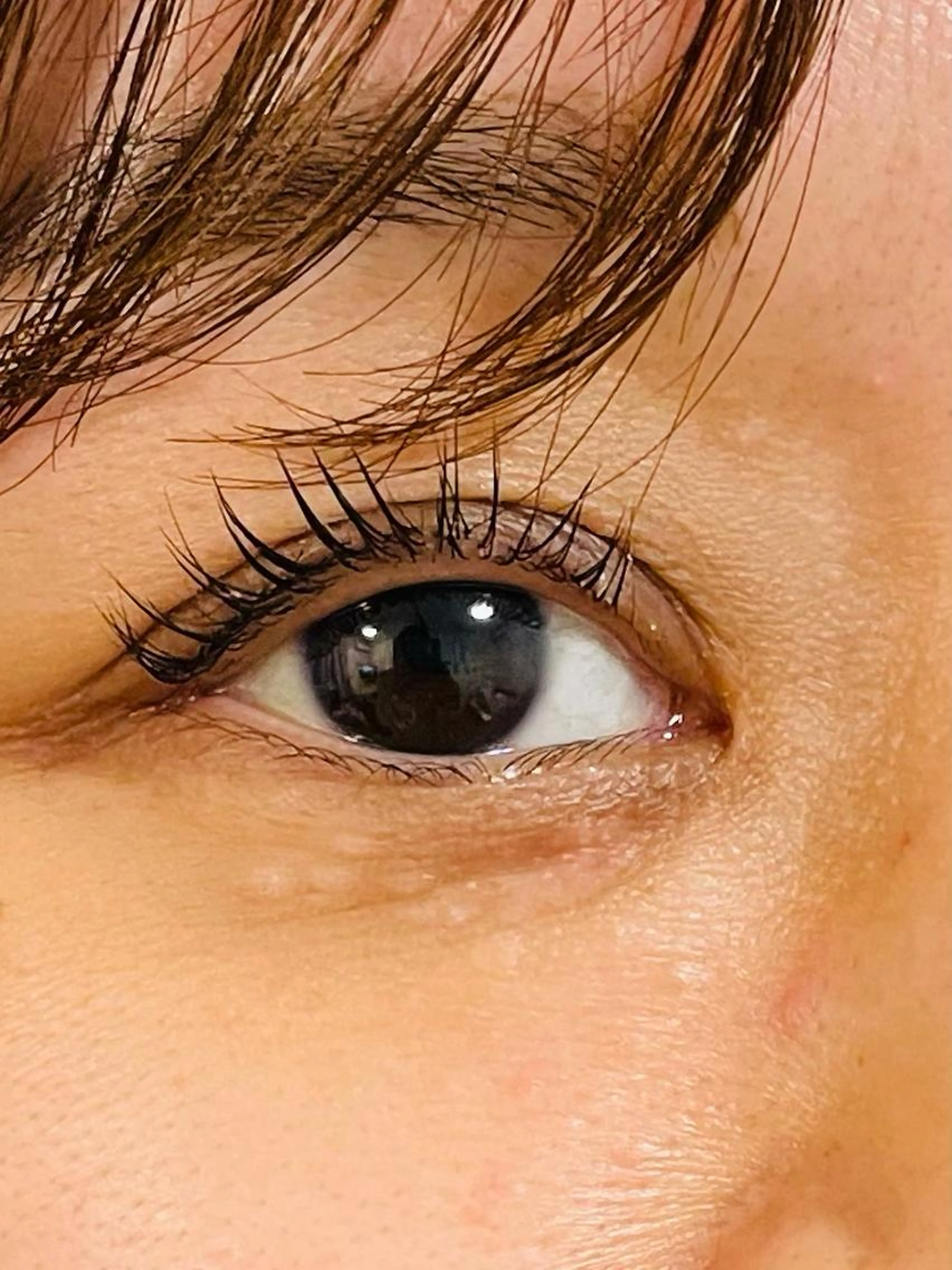 ラッシュリフト上のみ(アイシャンプー・コーティング込み)・お子様連れの写真