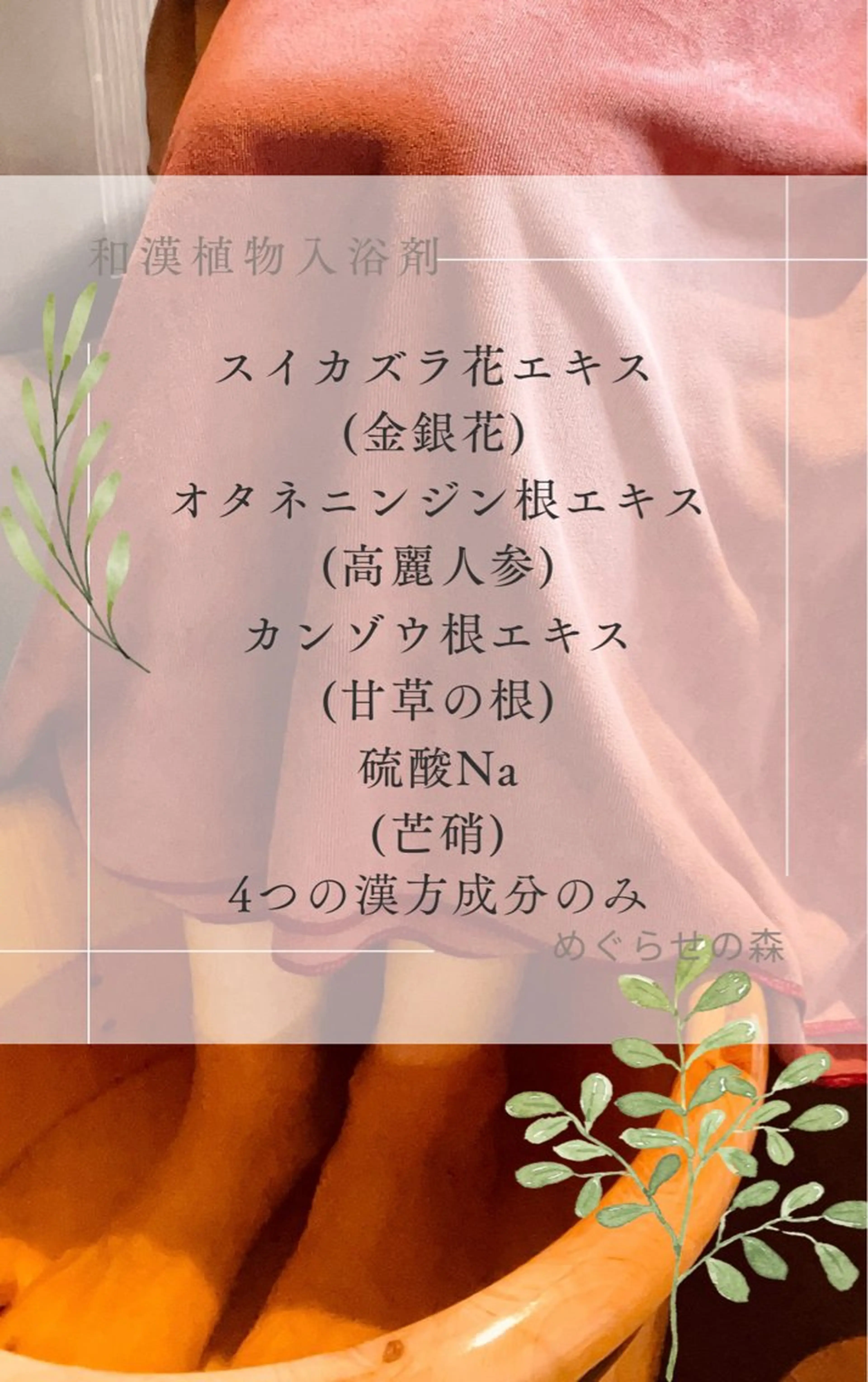 めぐらせの 森のその他イメージ