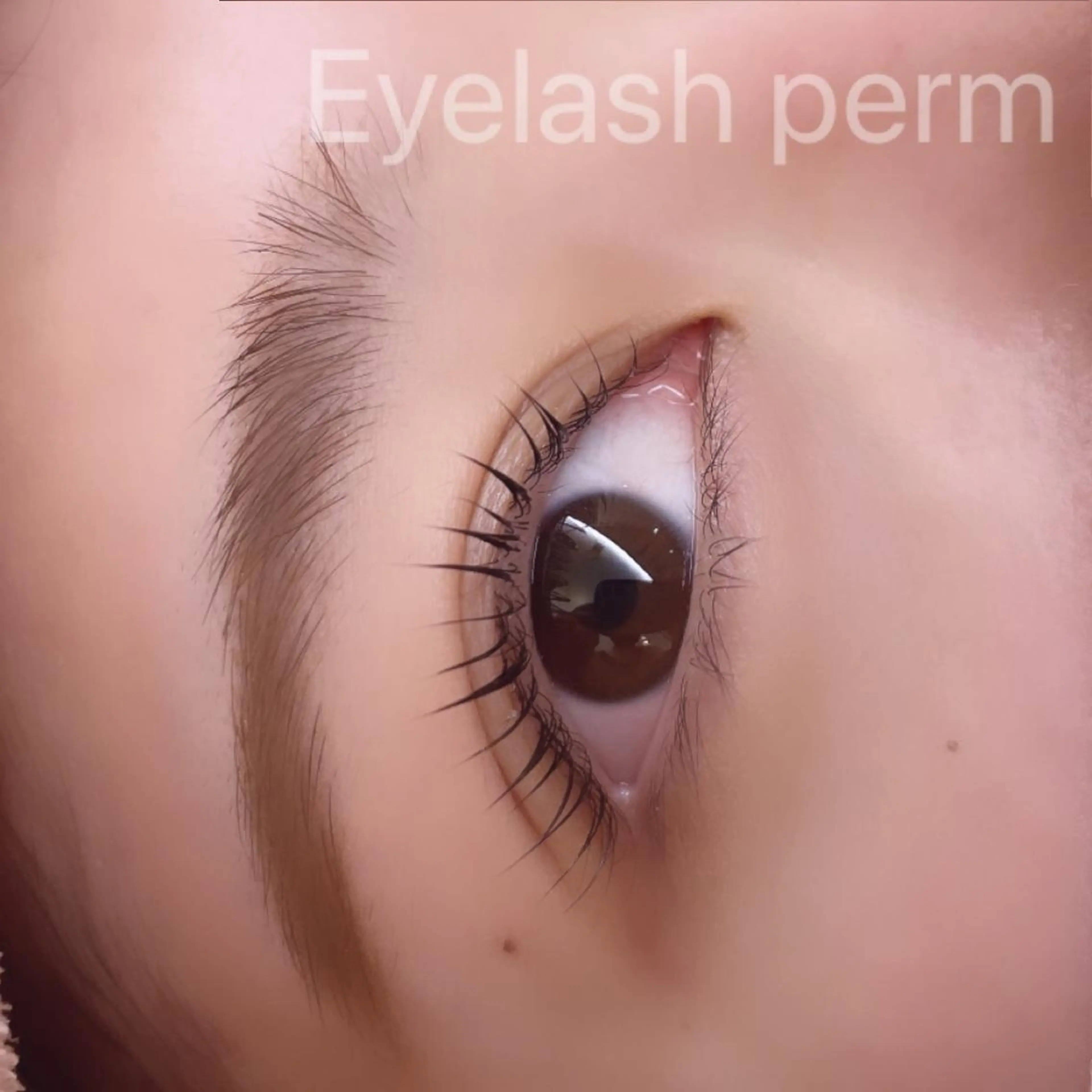 マツエク・マツパ パリジェンヌラッシュリフト まつげパーマ Sylph　井関 唯のマツエク・マツパデザイン