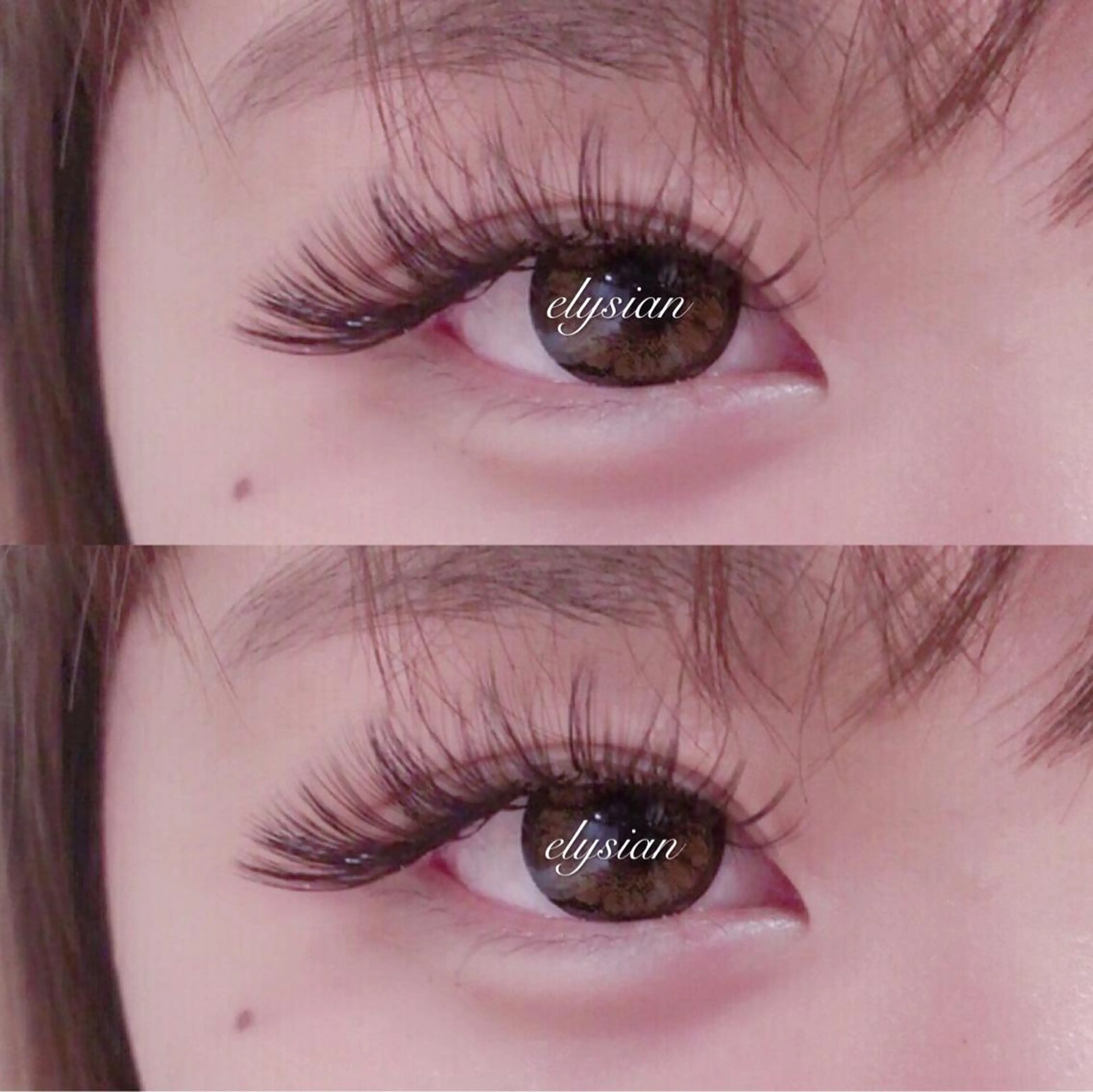 【新規】人気No1❗️ボリュームラッシュ(上) 600 本 オフ込の写真