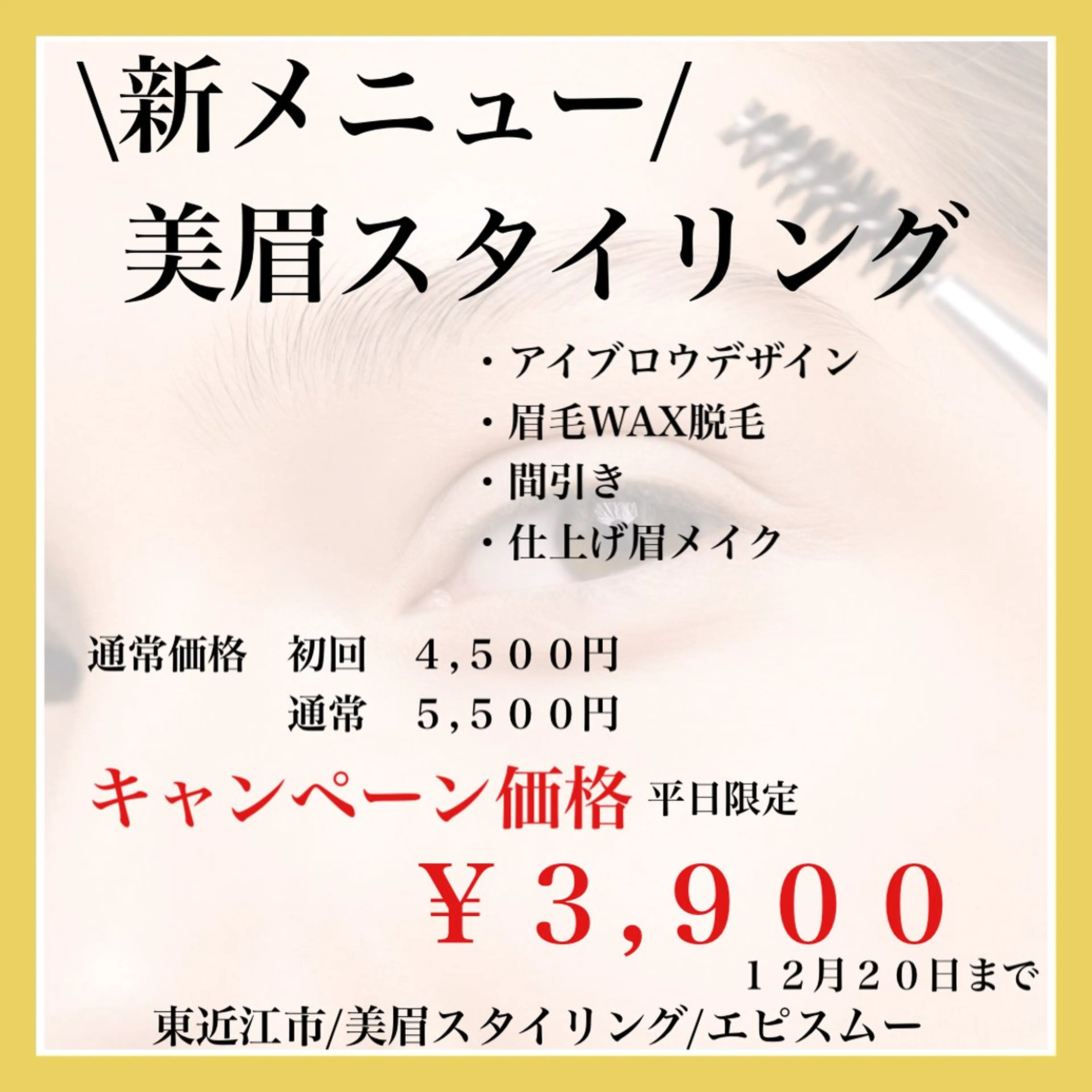 アイブロウ epismoo 脱毛/HBL/毛穴の眉毛・アイブロウイメージ