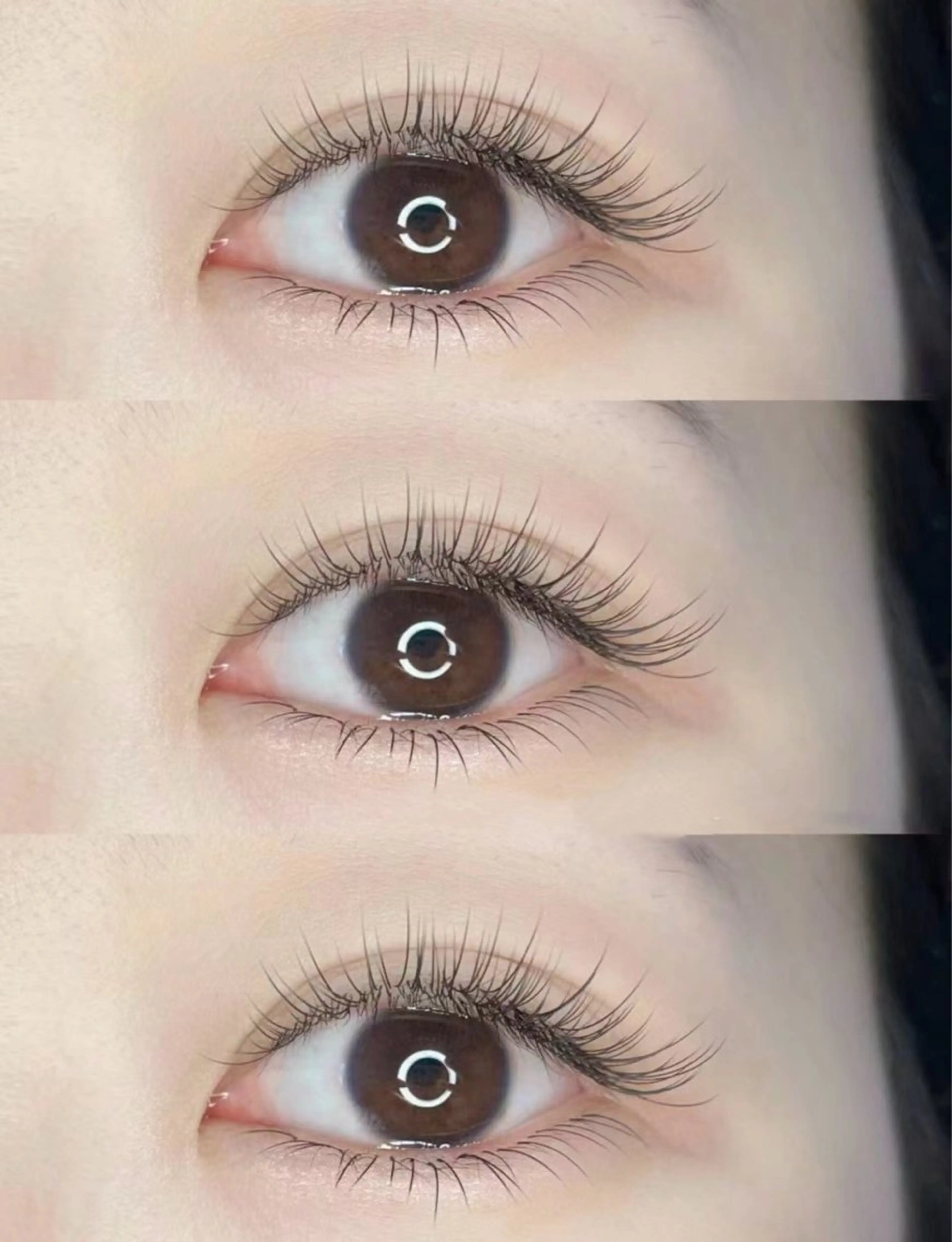 🌹パリエク🌹パリジェンヌ➕フラットラッシュ80本の写真