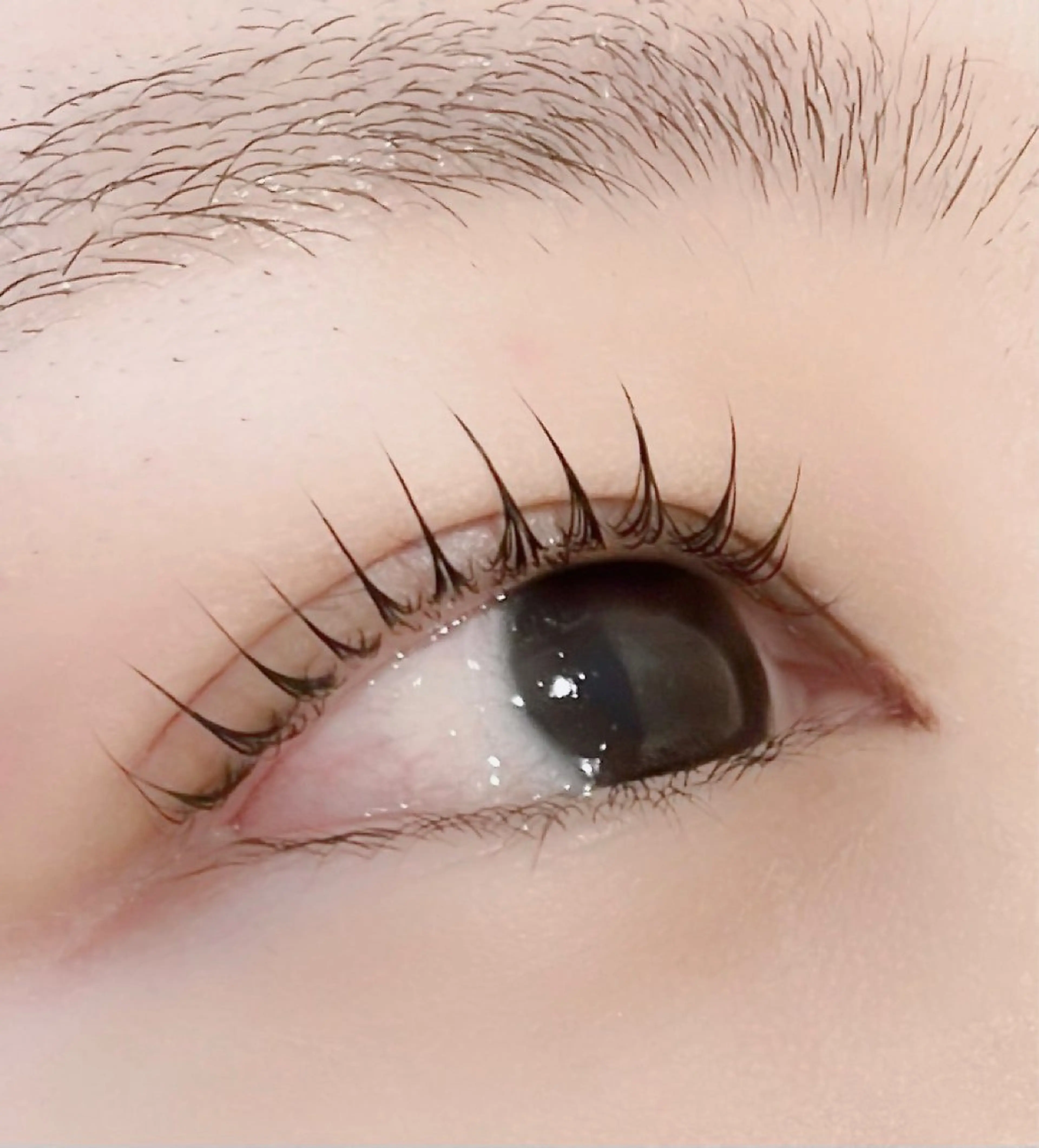 マツエク・マツパ パリジェンヌラッシュリフト マツパ mecotto大宮店 店長MAKI似合わせのマツエク・マツパデザイン