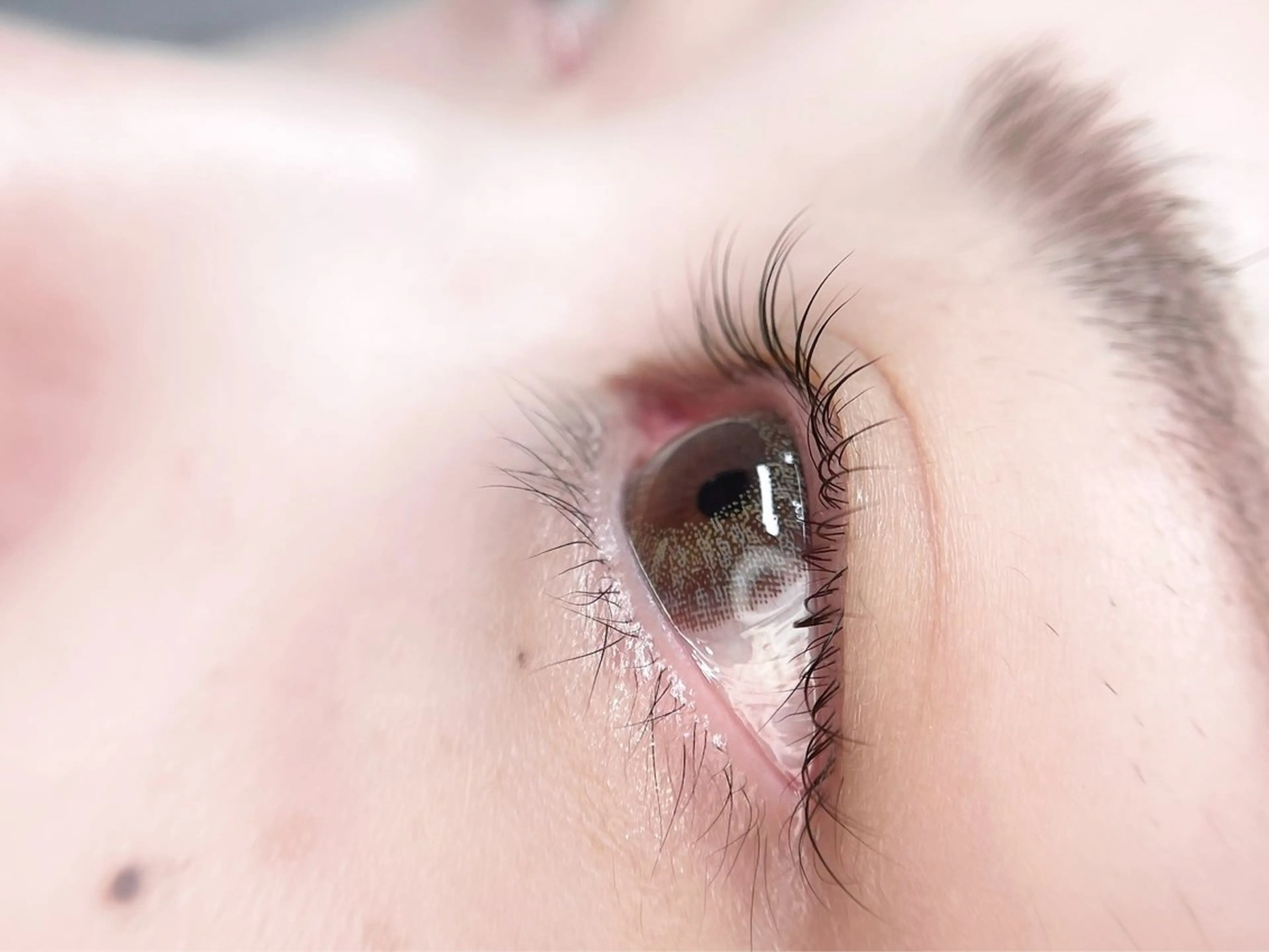 マツエク・マツパ まつげパーマ 一重×まつ毛パーマ マツパ Le Cre所属・MAI yのマツエク・マツパデザイン