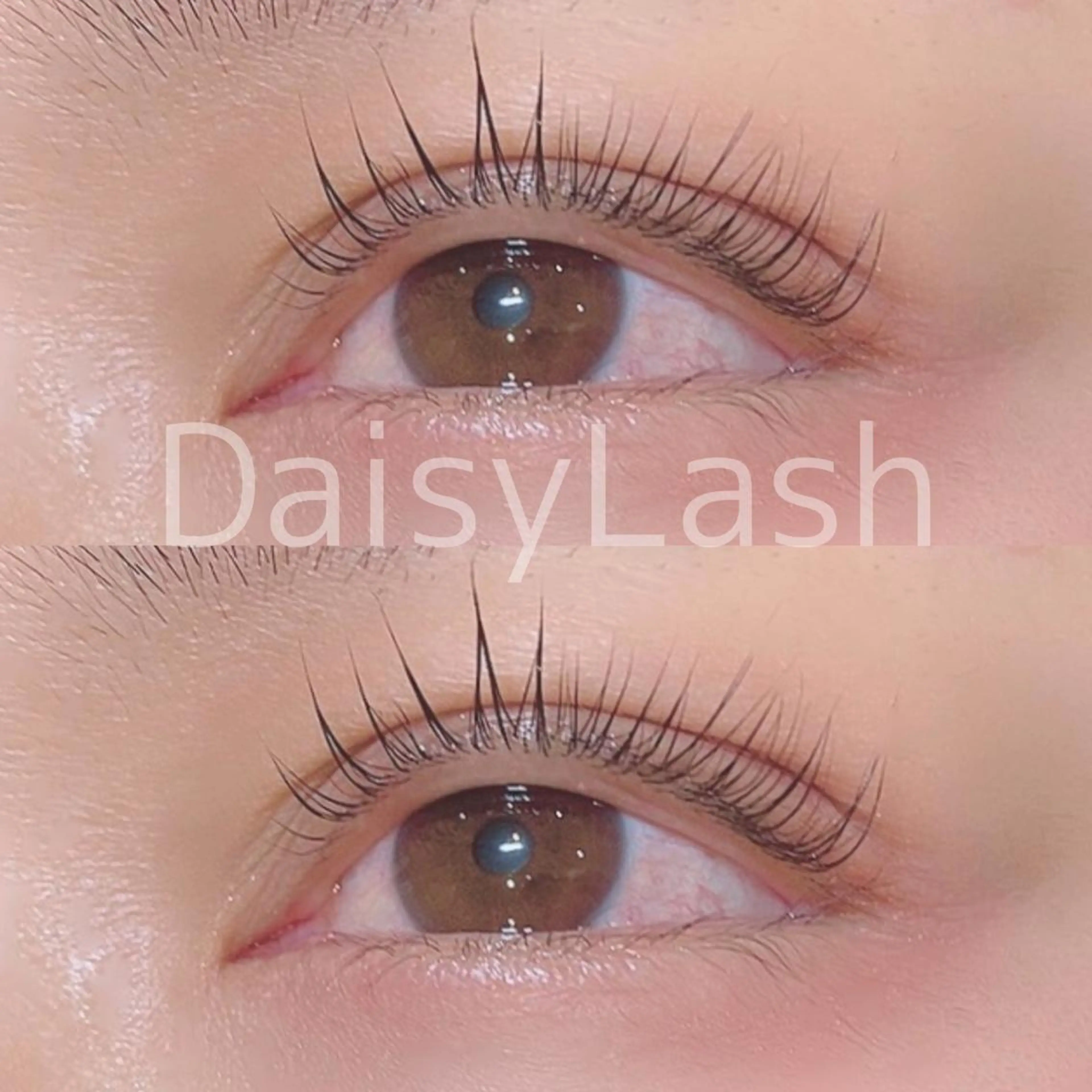 マツエク・マツパ DaisyLash 京橋店のマツエク・マツパデザイン