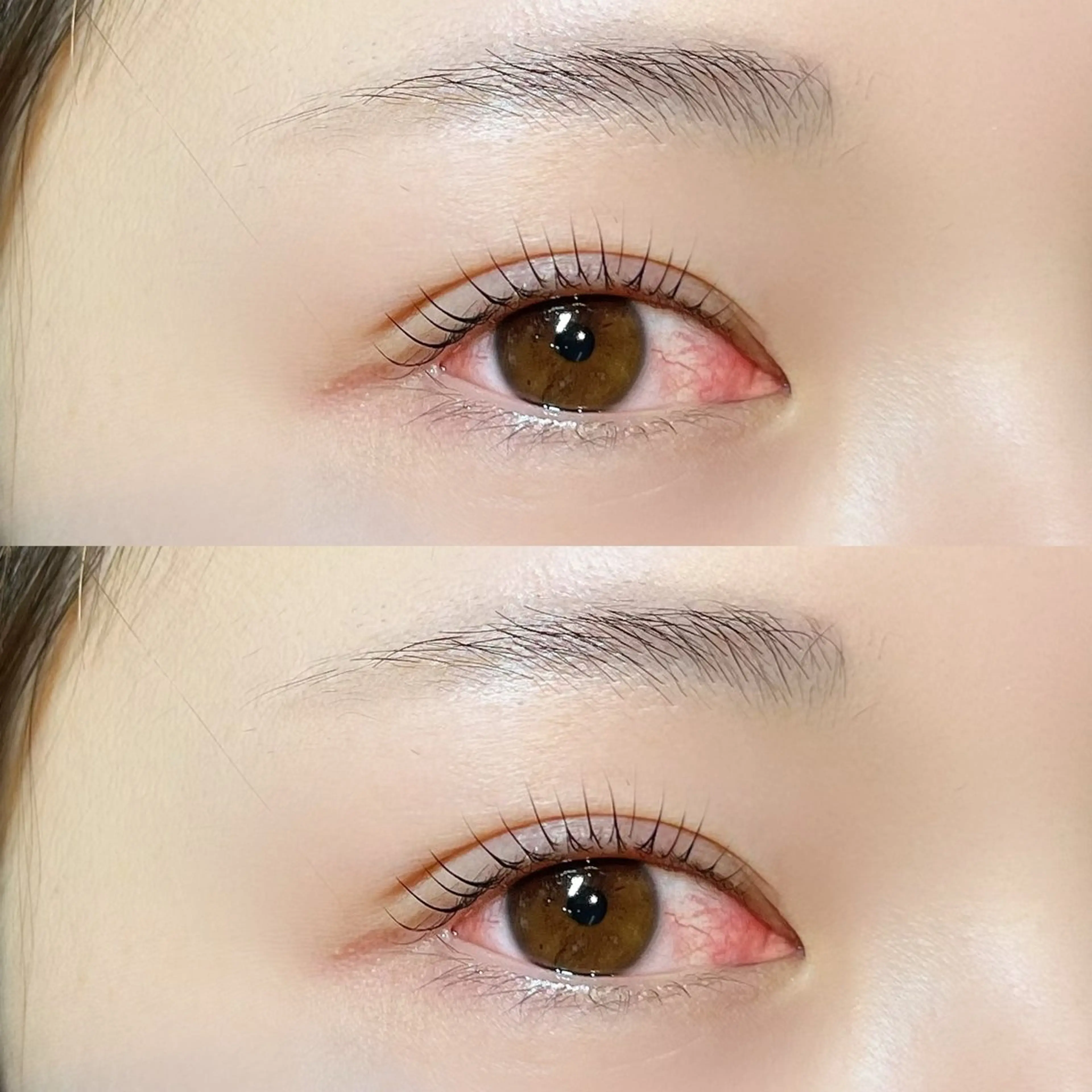 マツエク・マツパ Milobyking 🍒rihoの眉毛・アイブロウイメージ