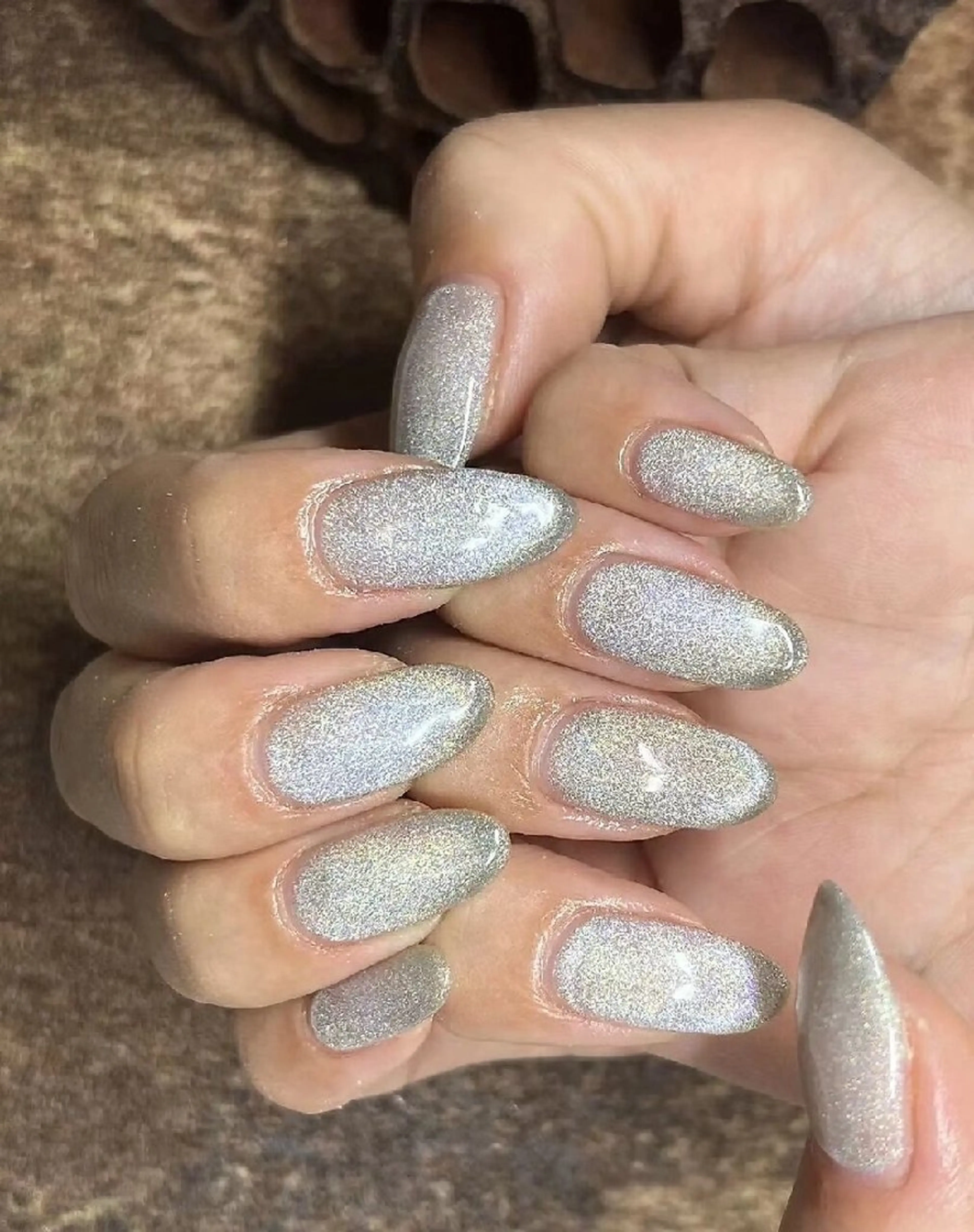 マグネットワンカラーの写真