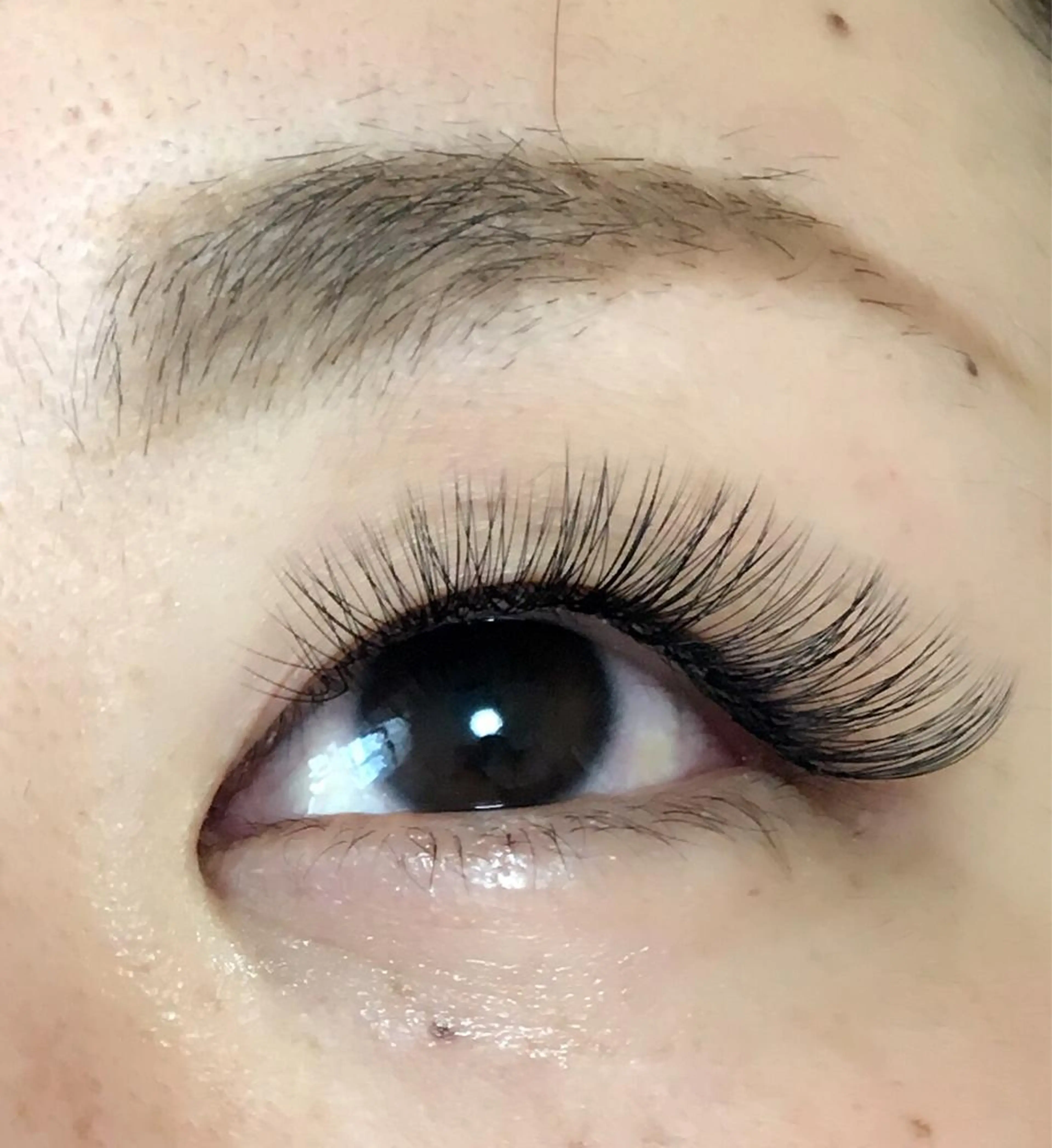 ボリュームラッシュ4D【80束】¥6,000の写真