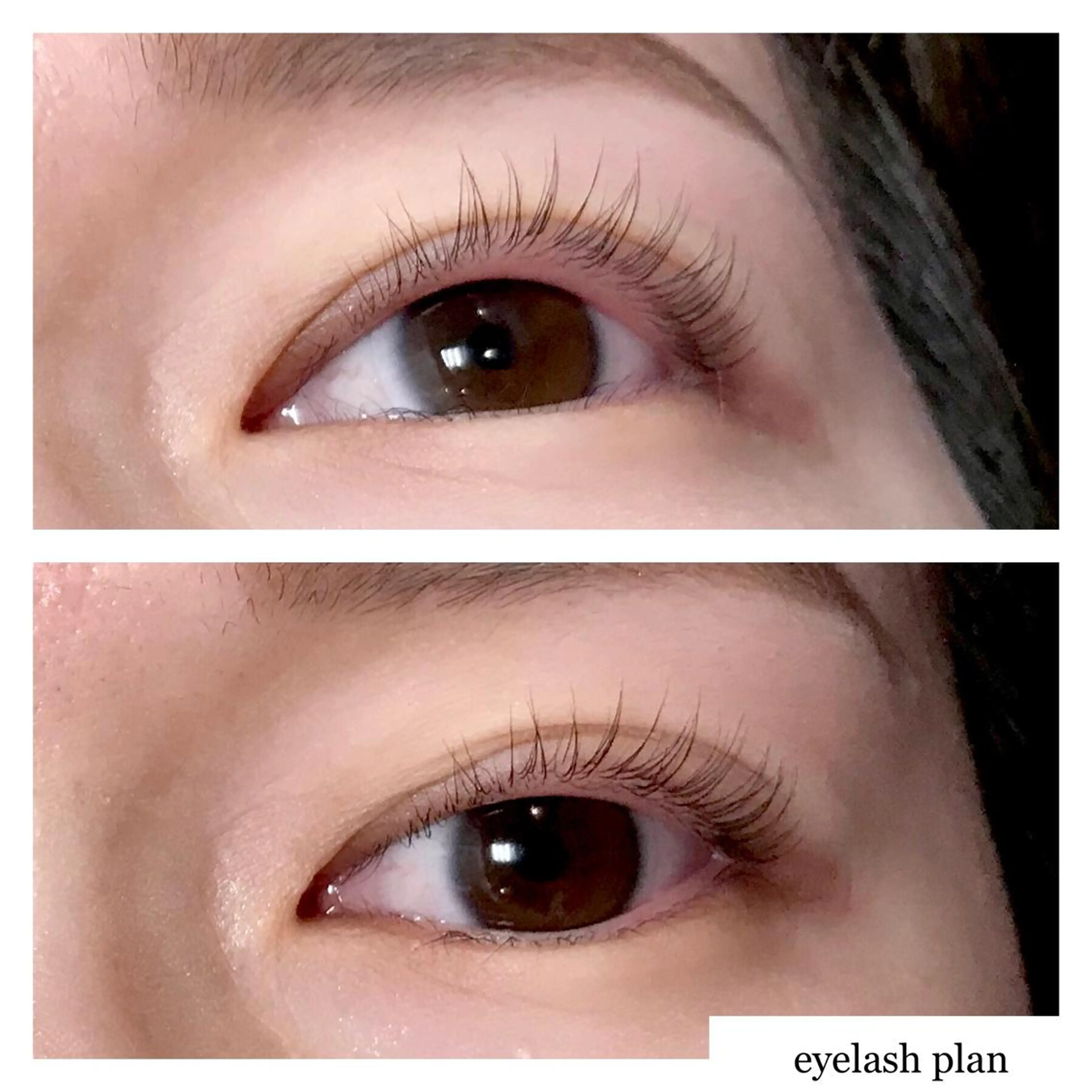 マツエク・マツパ 《eyelash ｉｉｔｅ》森のマツエク・マツパデザイン