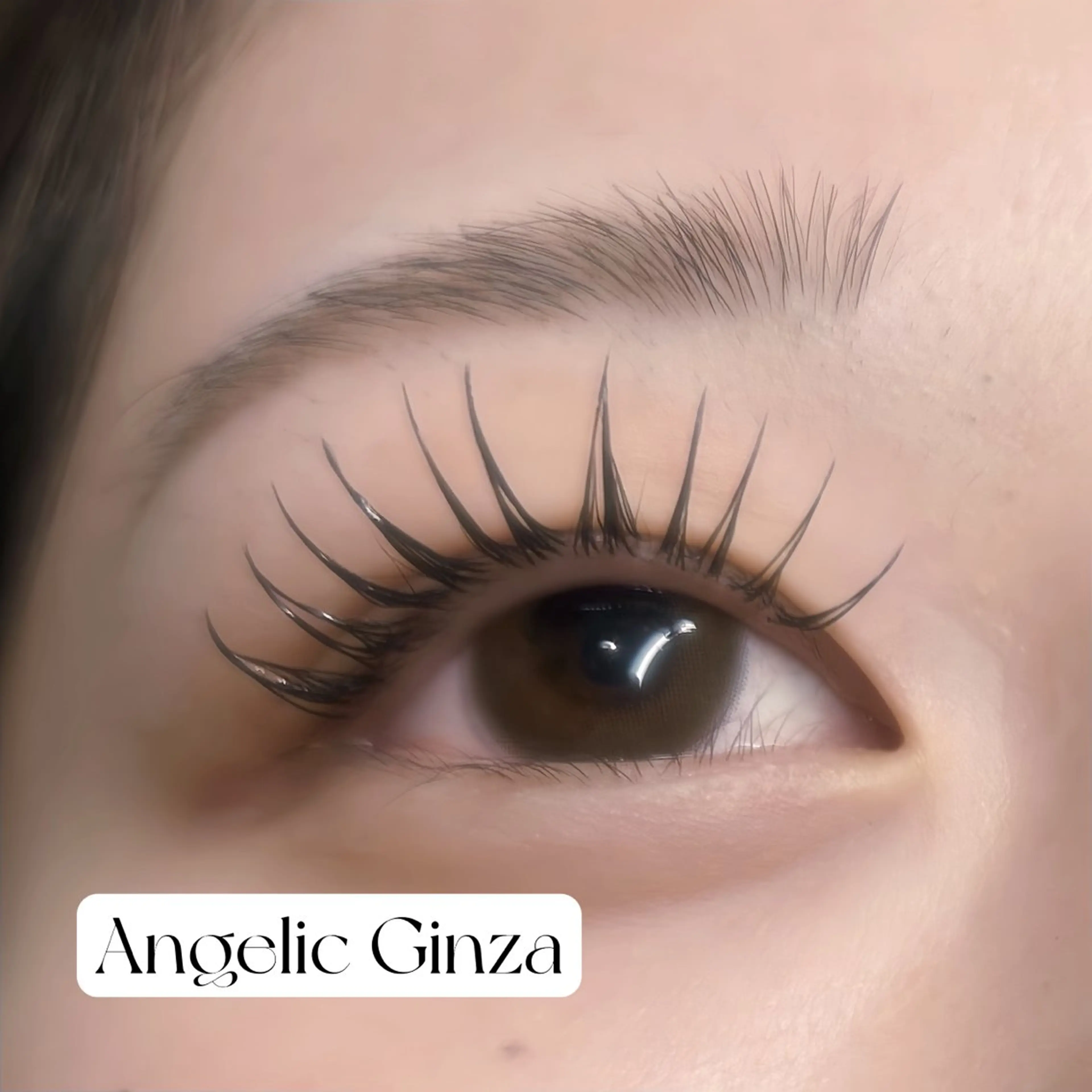 マツエク・マツパ Angelic Hira ♥🧸のマツエク・マツパデザイン