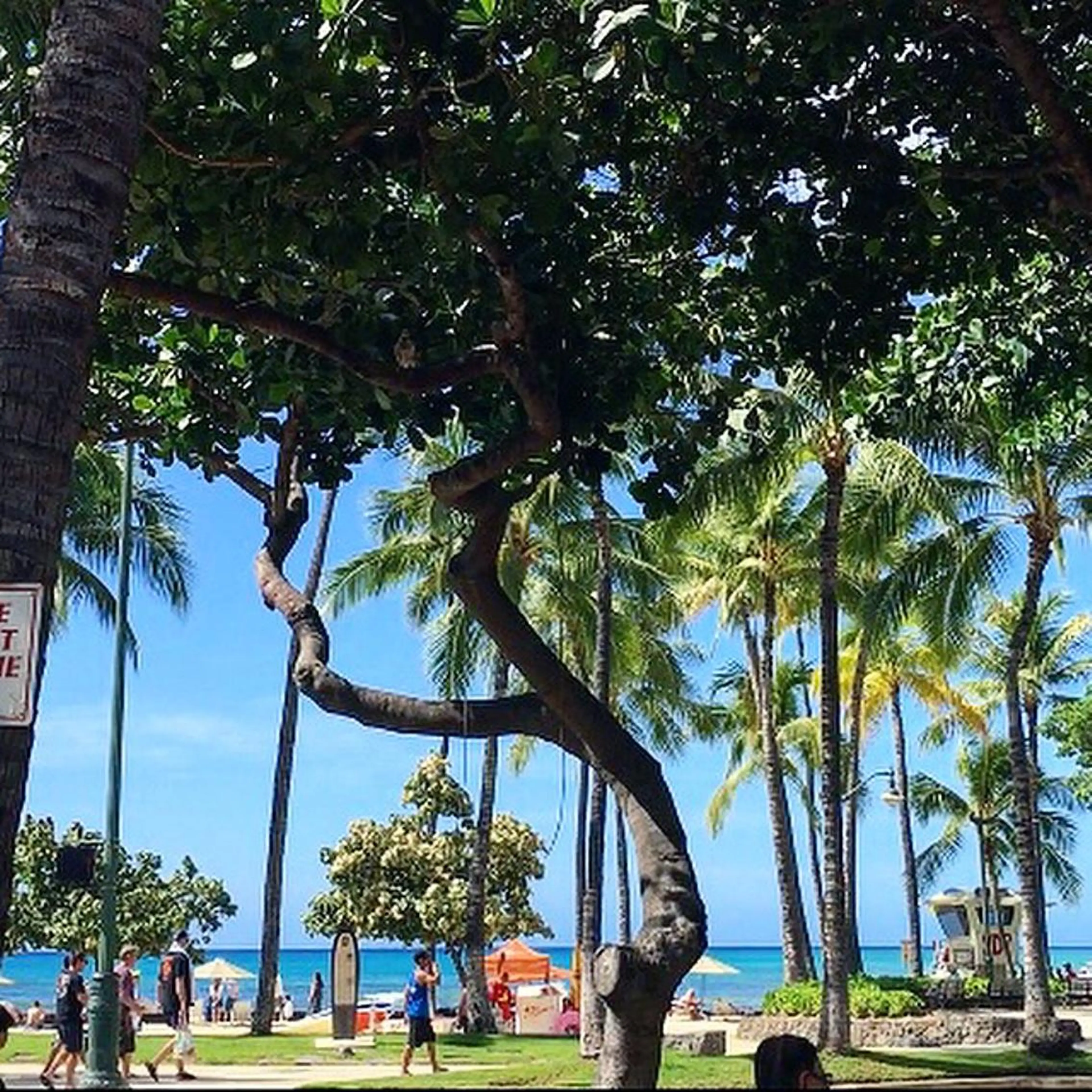 小濱 秀人のヘアスタイル