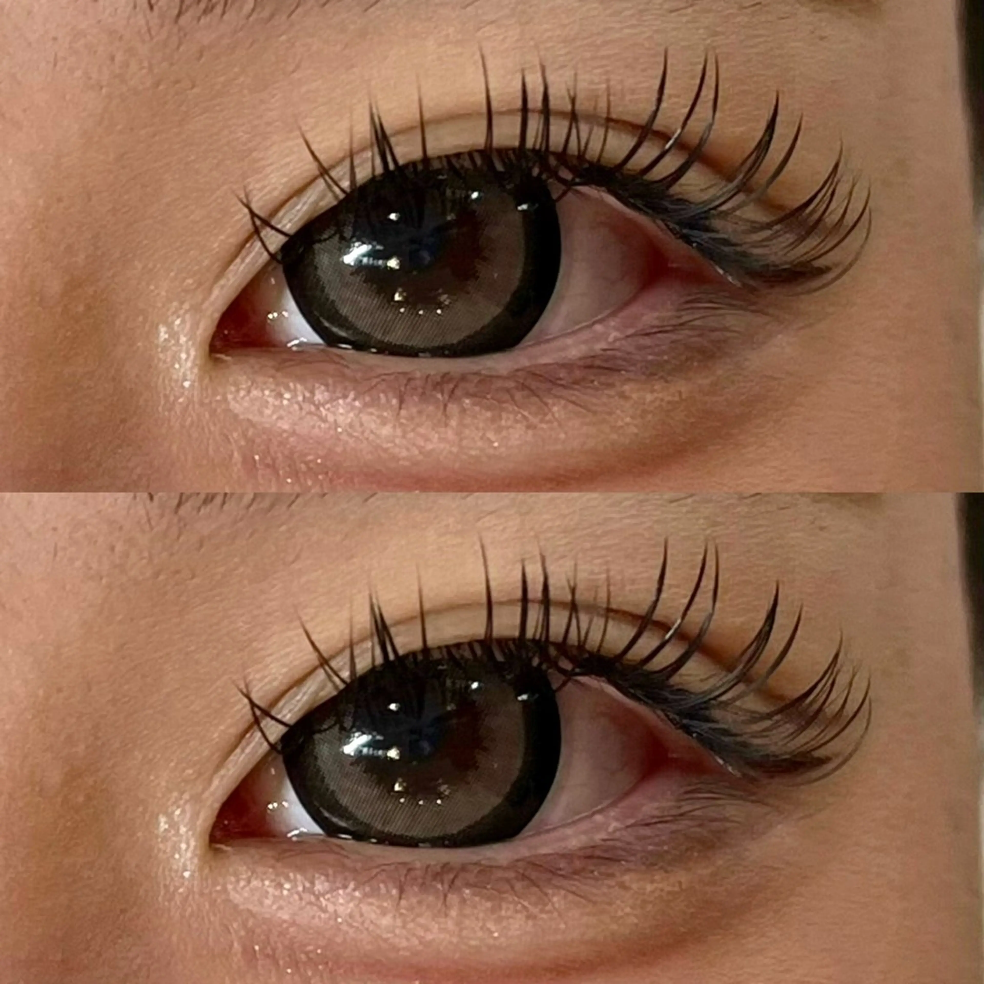 バインドロック 100束の写真