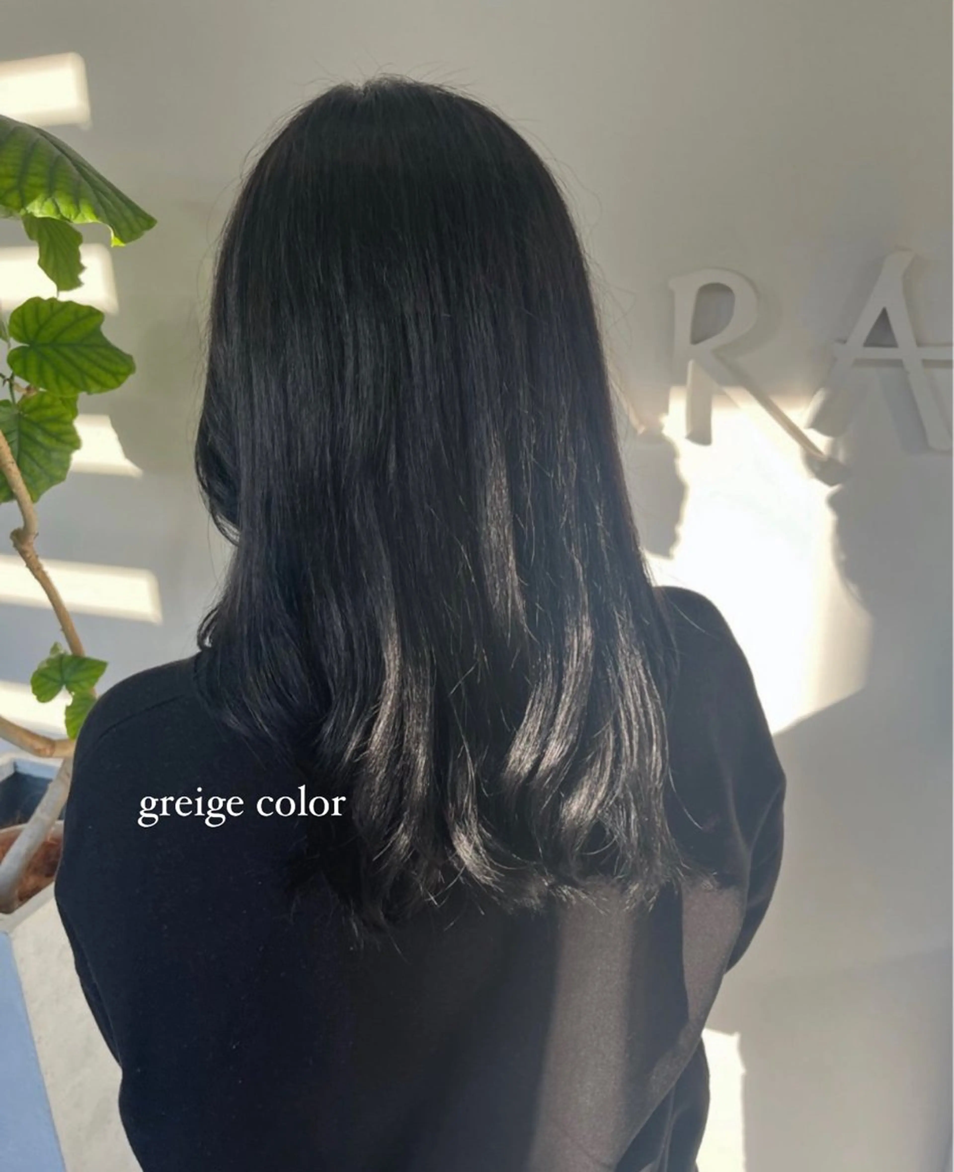 ロング カラー 透明感カラー グレージュ 透明感カラー／ 艶感カラー／RAMUのヘアスタイル