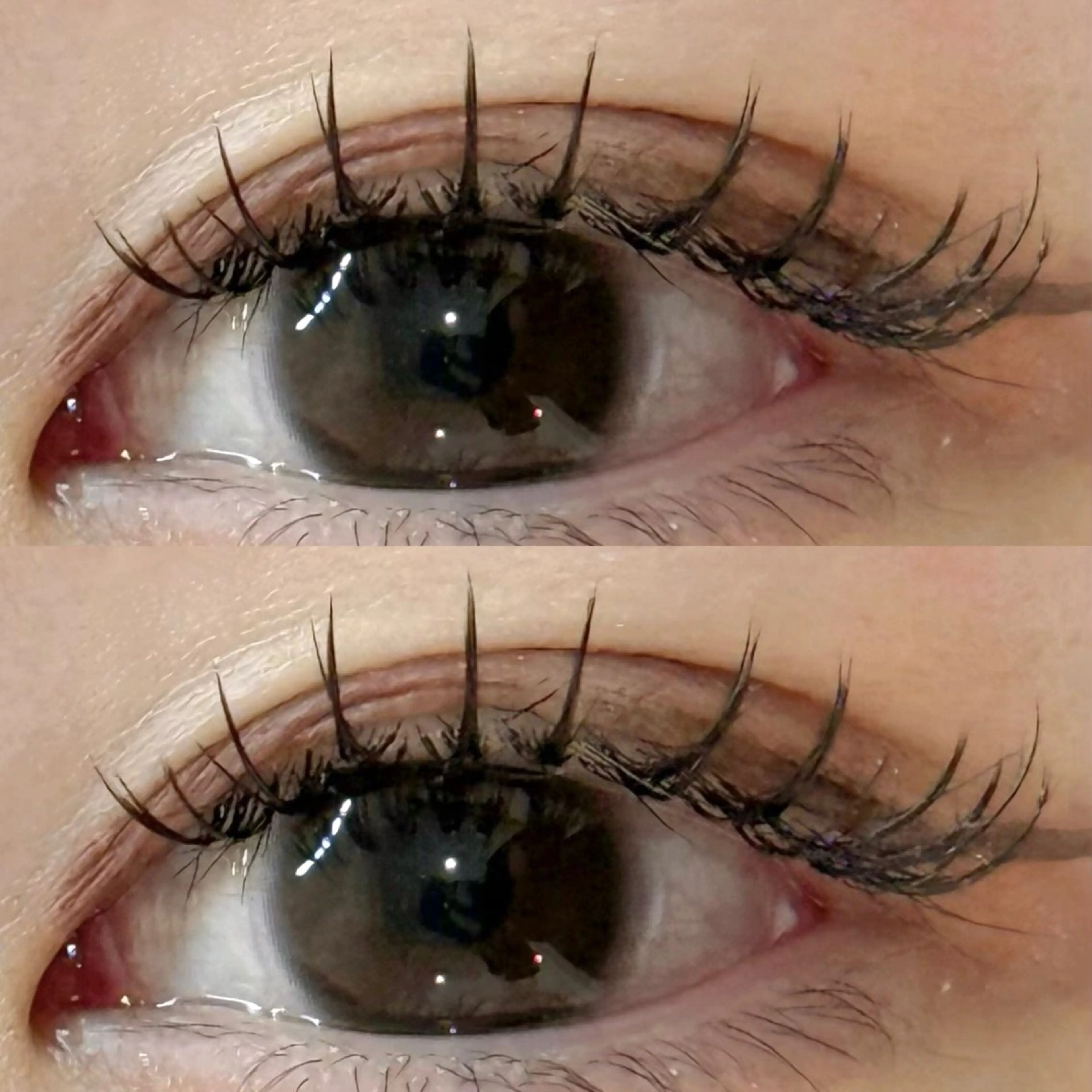 マツエク・マツパ M🐰 上本町/谷九のマツエク・マツパデザイン