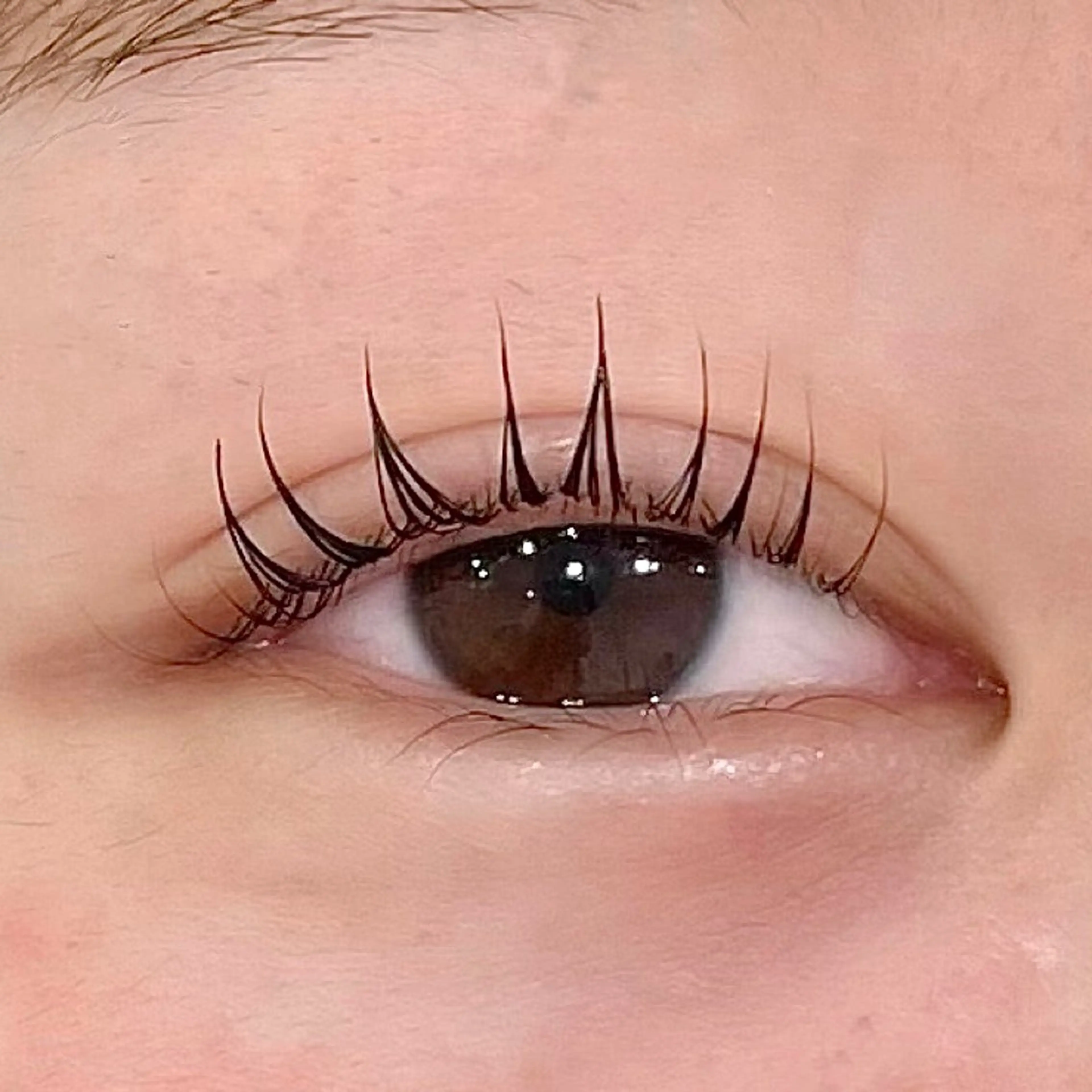 マツエク・マツパ an ♡.゜のマツエク・マツパデザイン