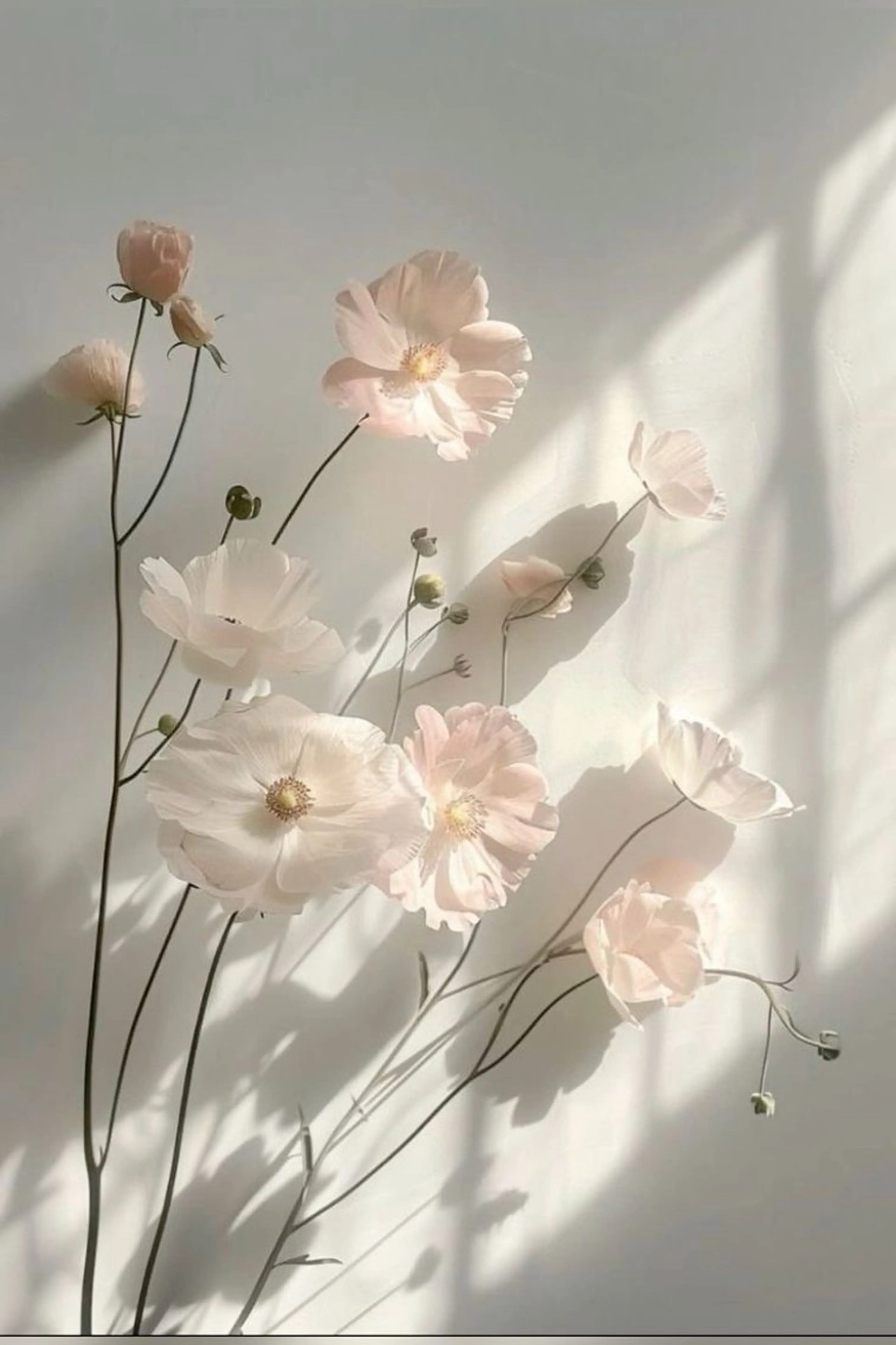 マツエク・マツパ 上村ひかる🫧束感 パリエク/マツパのマツエク・マツパデザイン