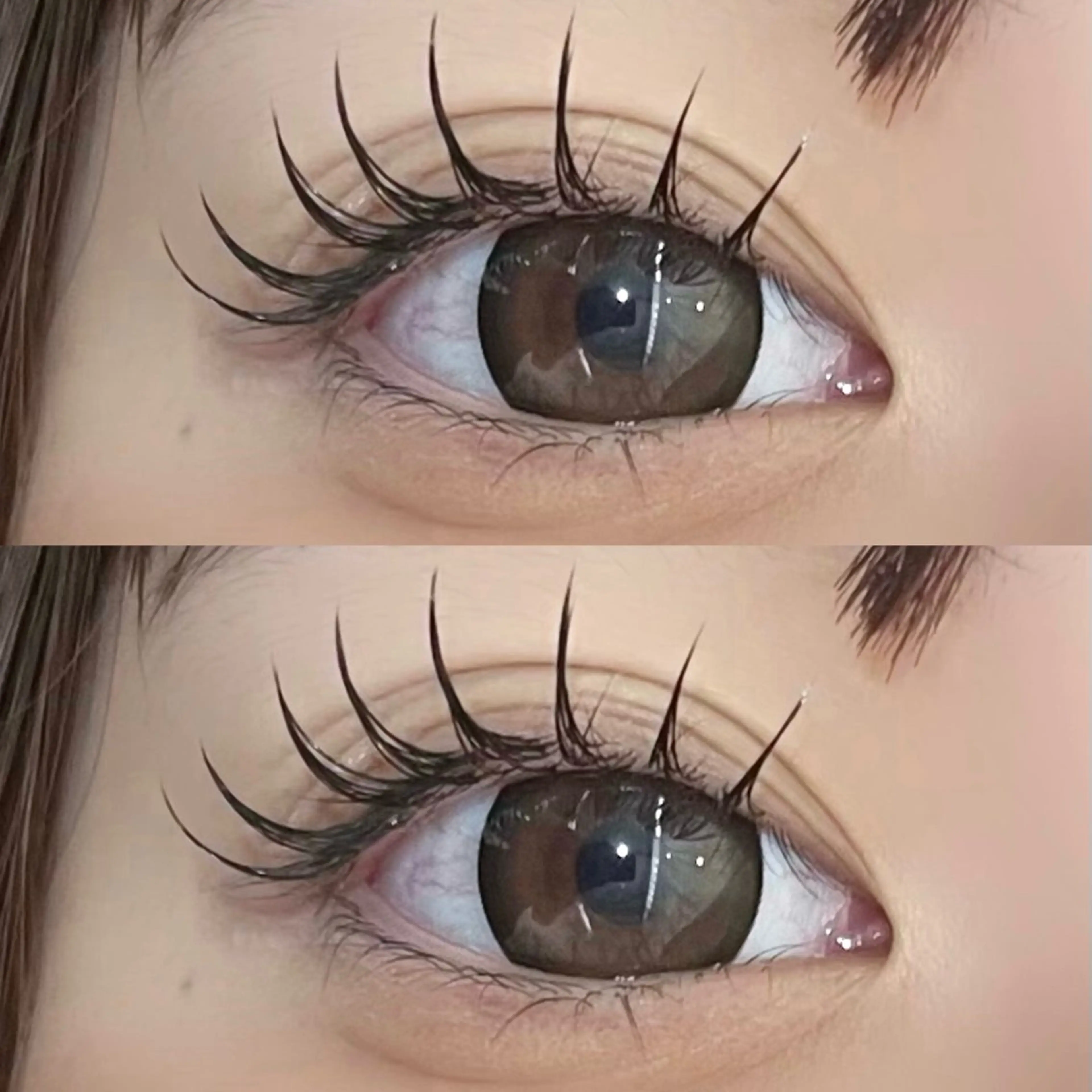 ✦.°LEDフラットラッシュ120本🎀【オフなし】束感仕上げの写真