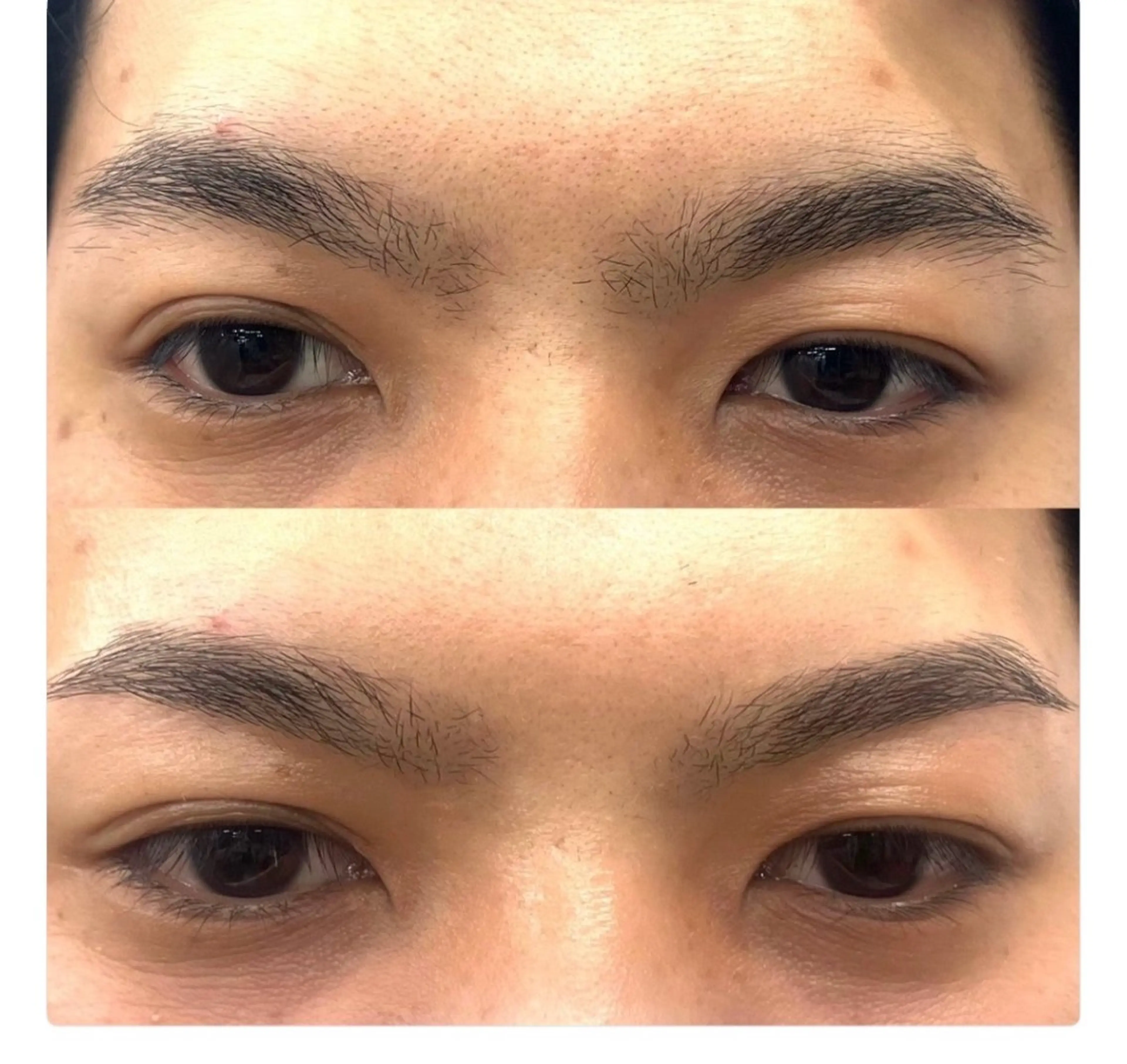 アイブロウ 松岡 亮樹の眉毛・アイブロウイメージ