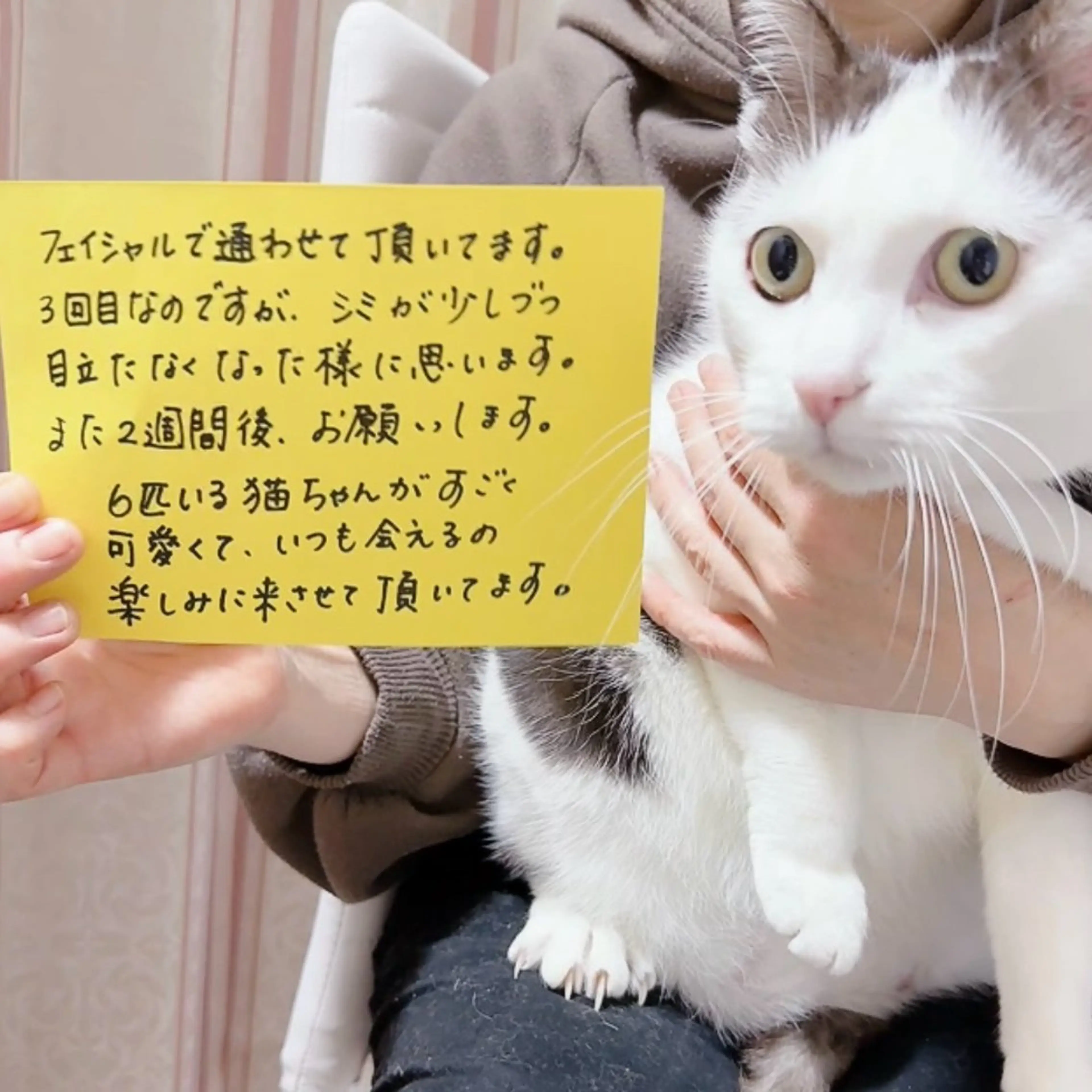 脱毛･よもぎ蒸し サロンふありのエステ・リラクイメージ