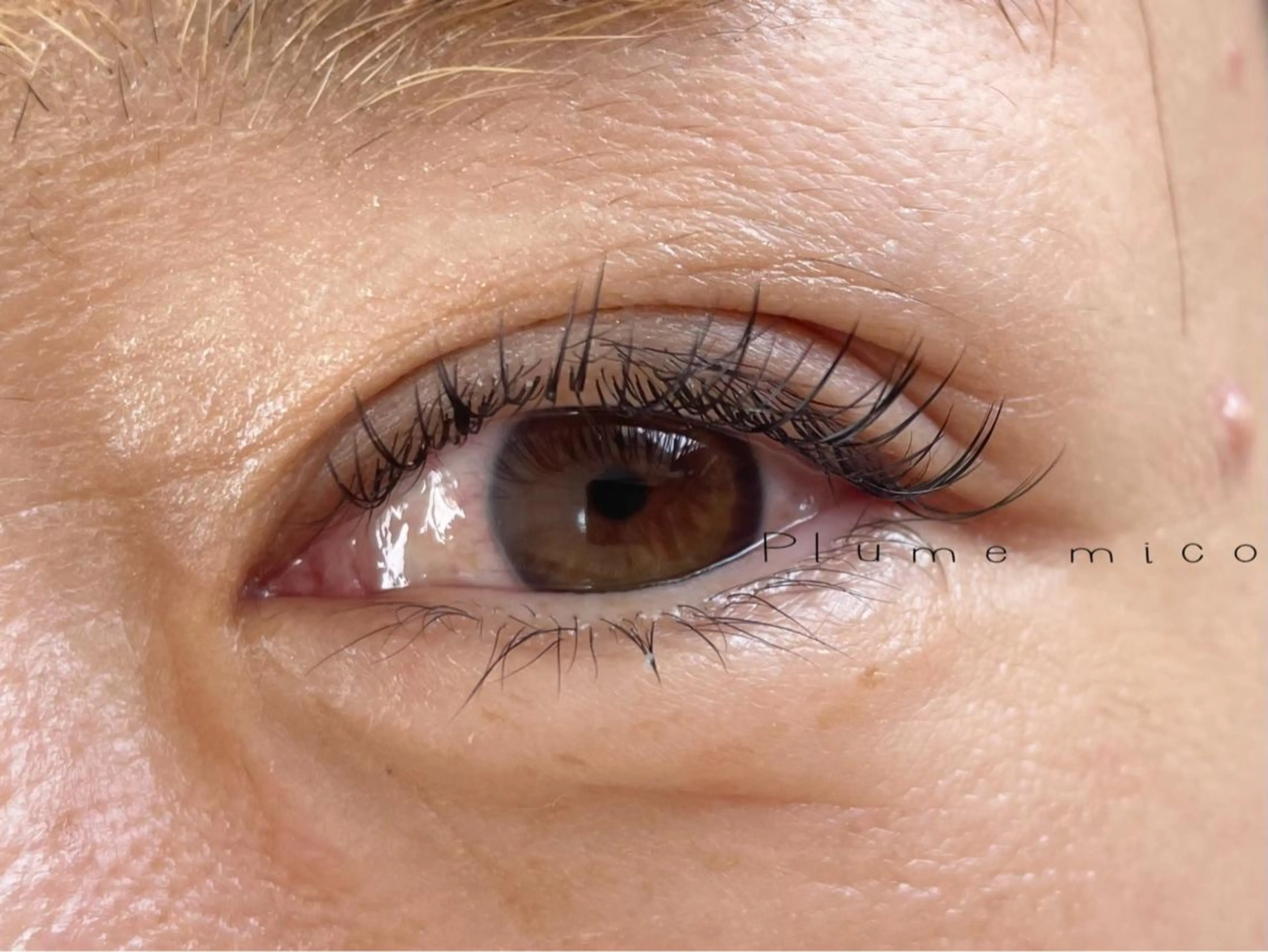 マツエク・マツパ マツエク Plume micoのマツエク・マツパデザイン