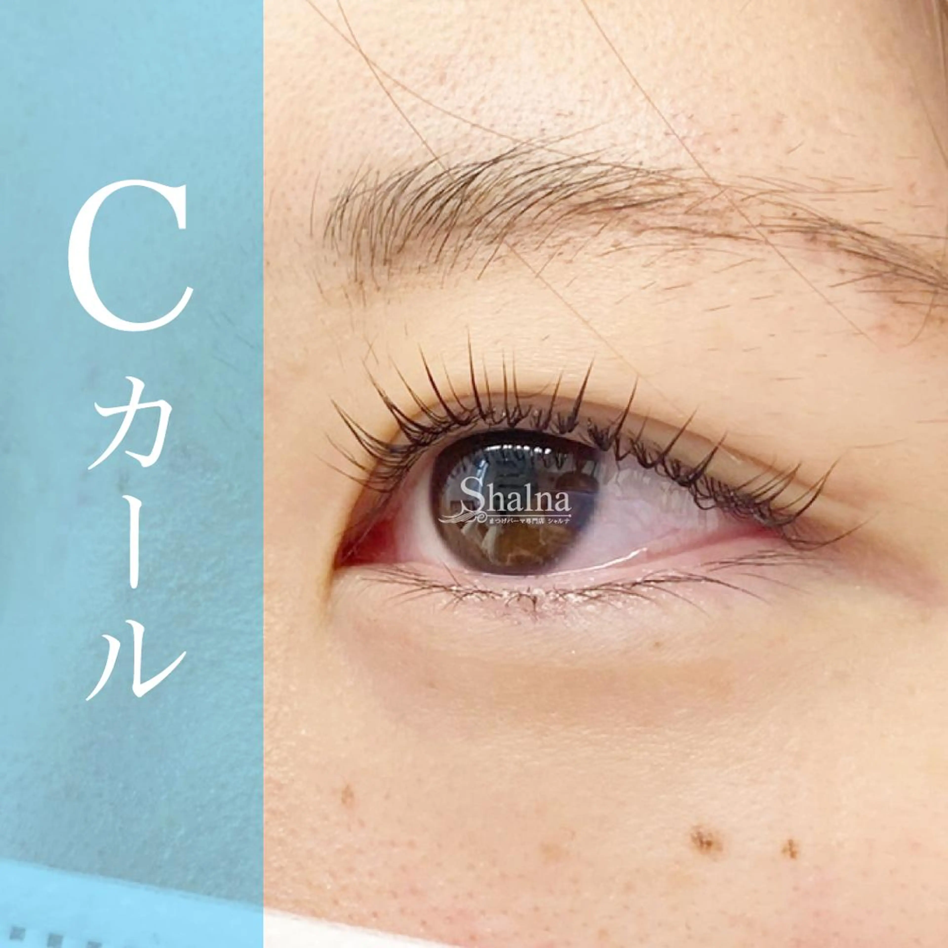 マツエク・マツパ Cカール ナチュラル まつげパーマ まつげパーマ専門店 シャルナ　柏店のマツエク・マツパデザイン