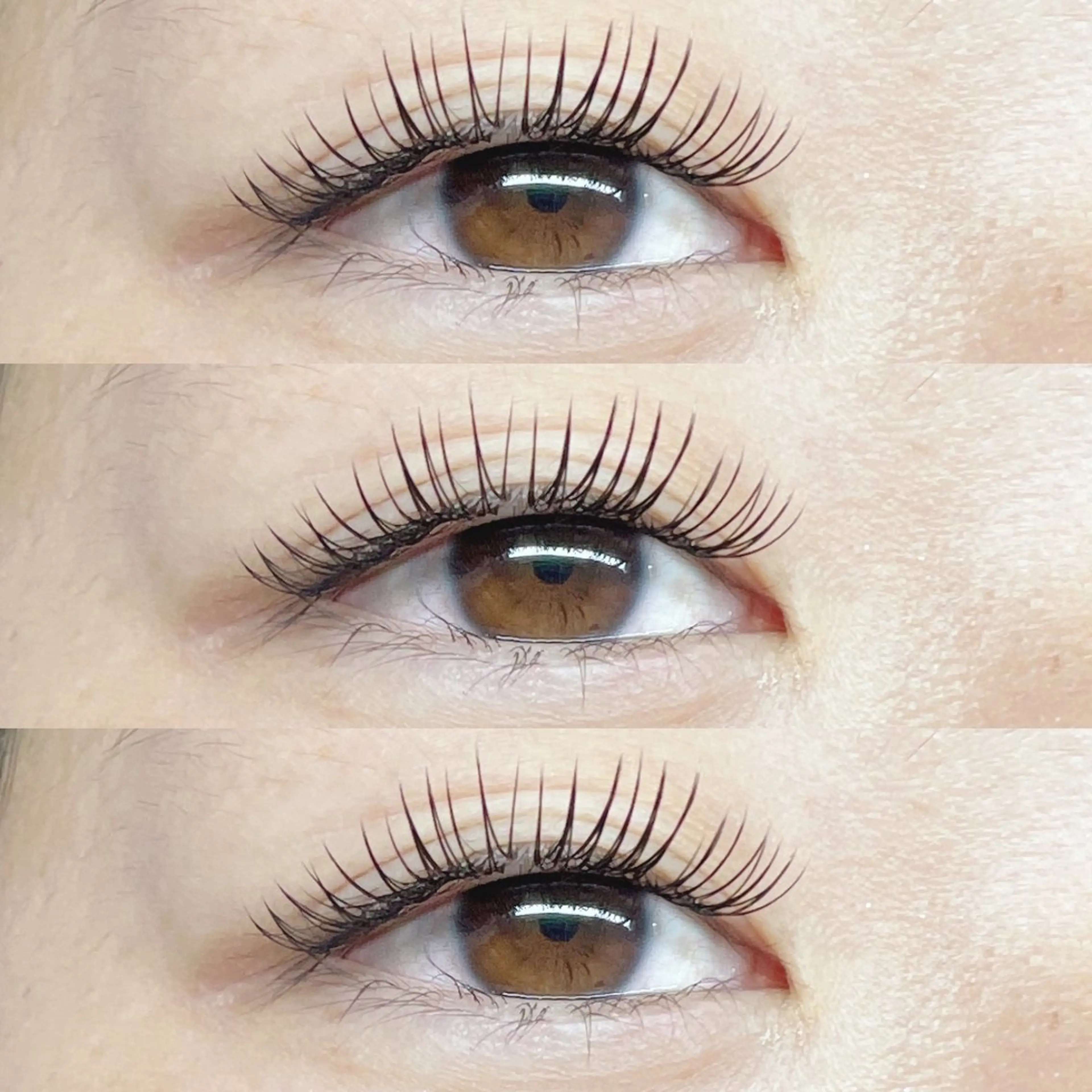 マツエク・マツパ マツエク Eyelash Hauoliの眉毛・アイブロウイメージ