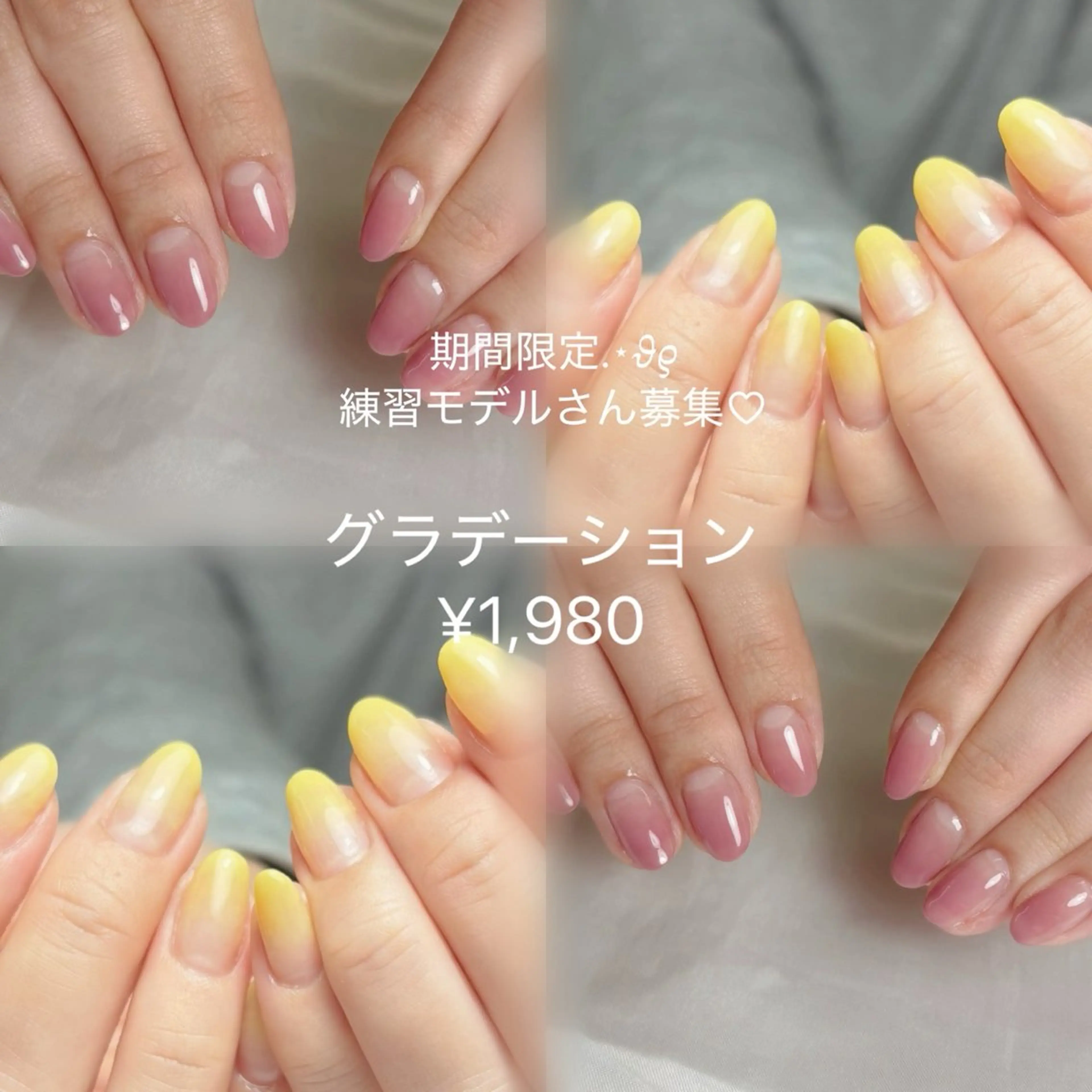 グラデーションの写真