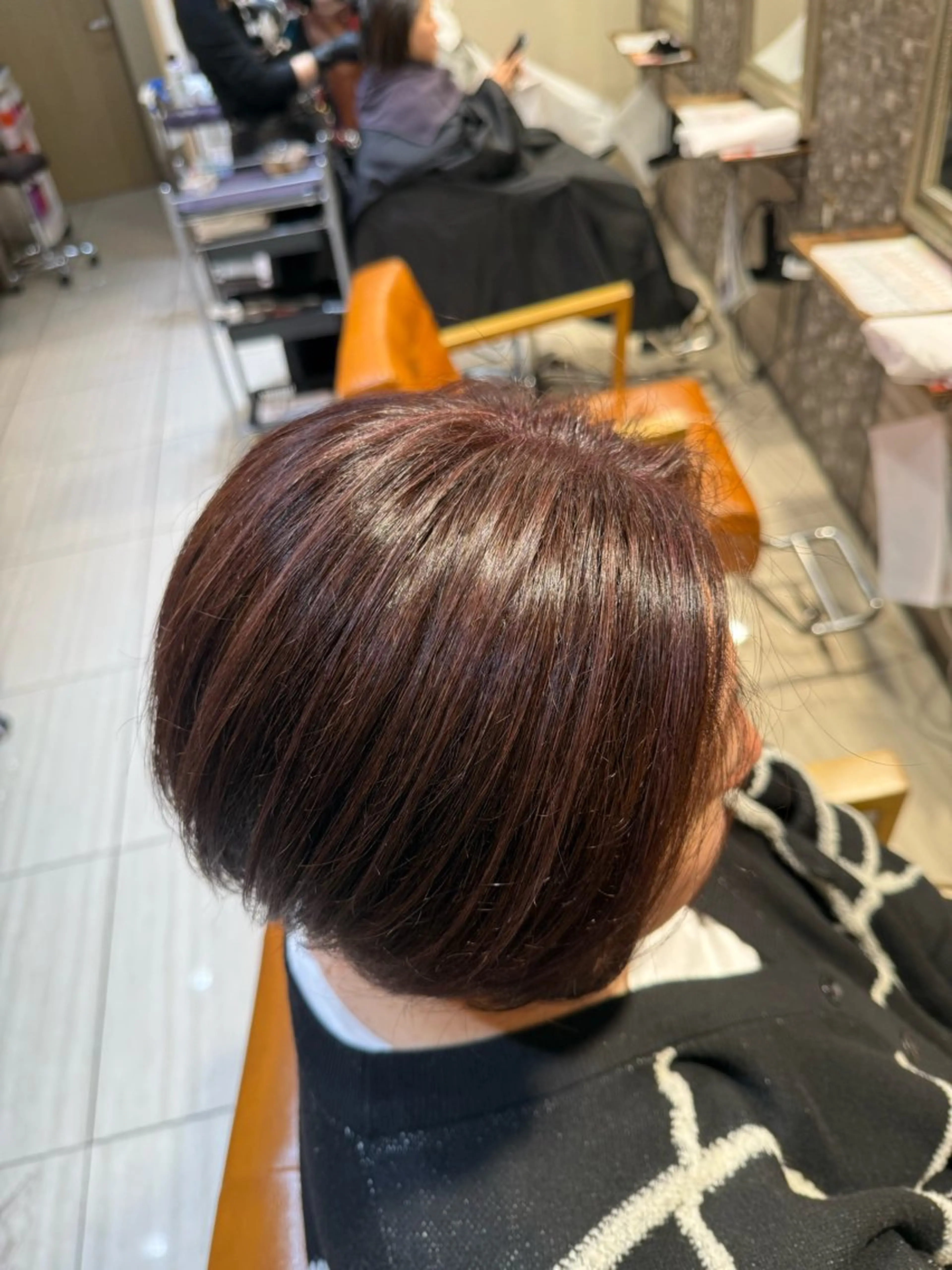 ショート カラー カット ヘアカラー トリートメント 🫧艶髪職人/相模 大野/新井公輔🫧のヘアスタイル