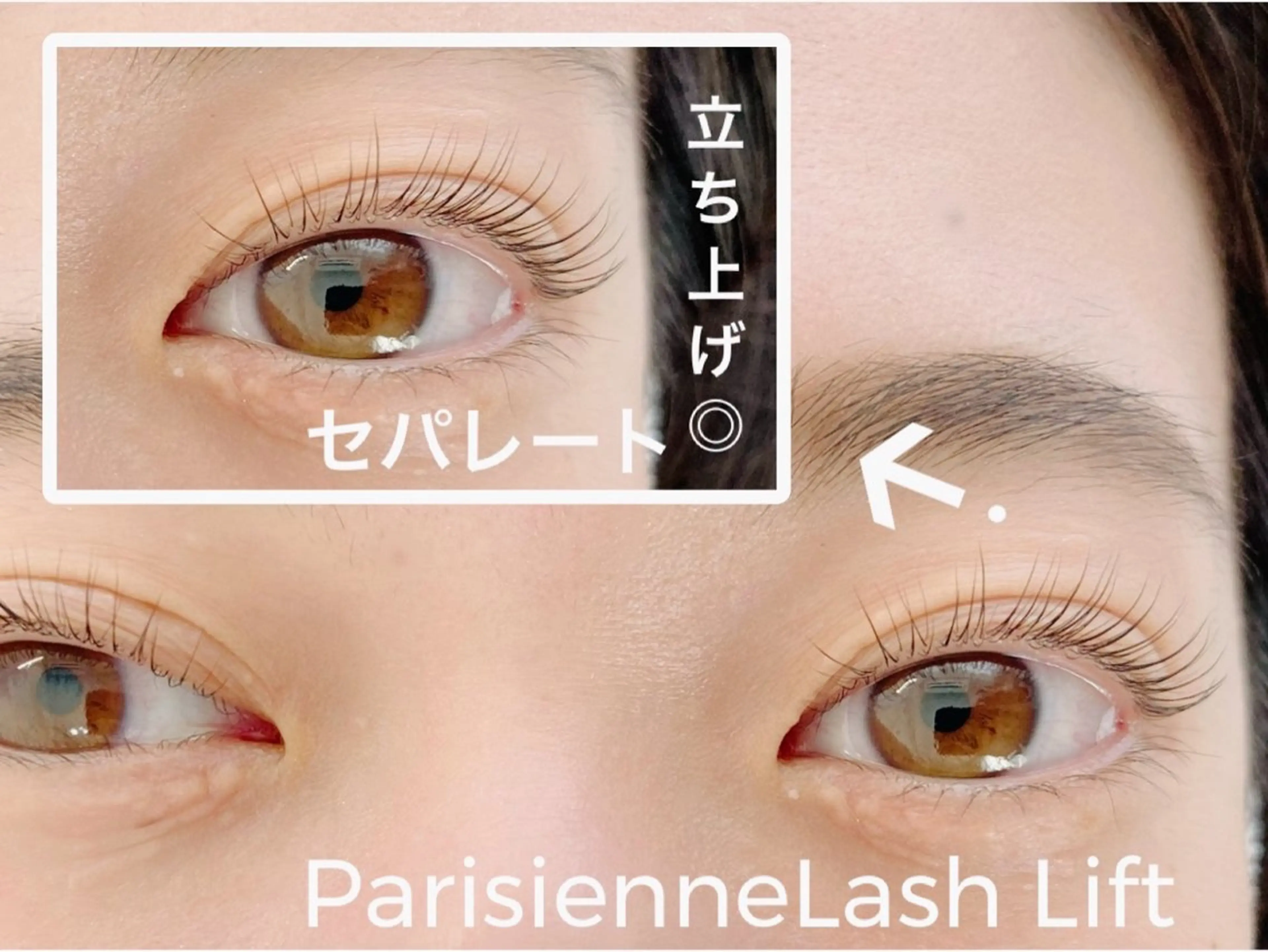 マツエク・マツパ パリジェンヌラッシュリフト Bruges 自由が丘のマツエク・マツパデザイン